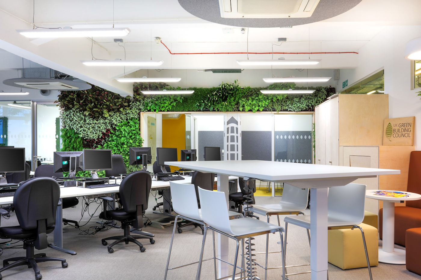 Internal Living Green Wall In UK Green Building Council Offices
