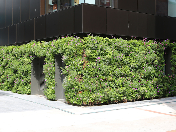 What is environmental architecture and why is it important?