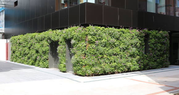 What could go wrong with a living wall? 6 points to consider for your project