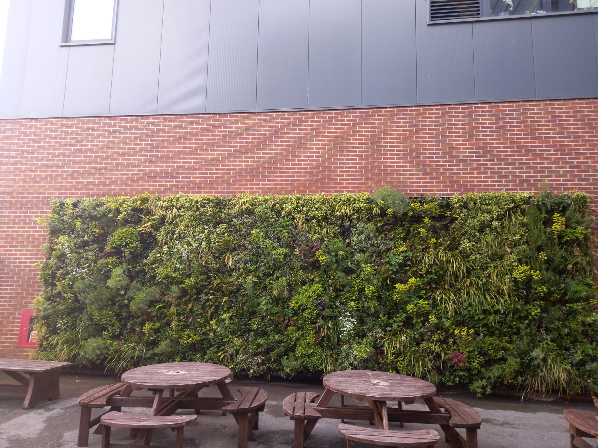 Living wall at University of Hull