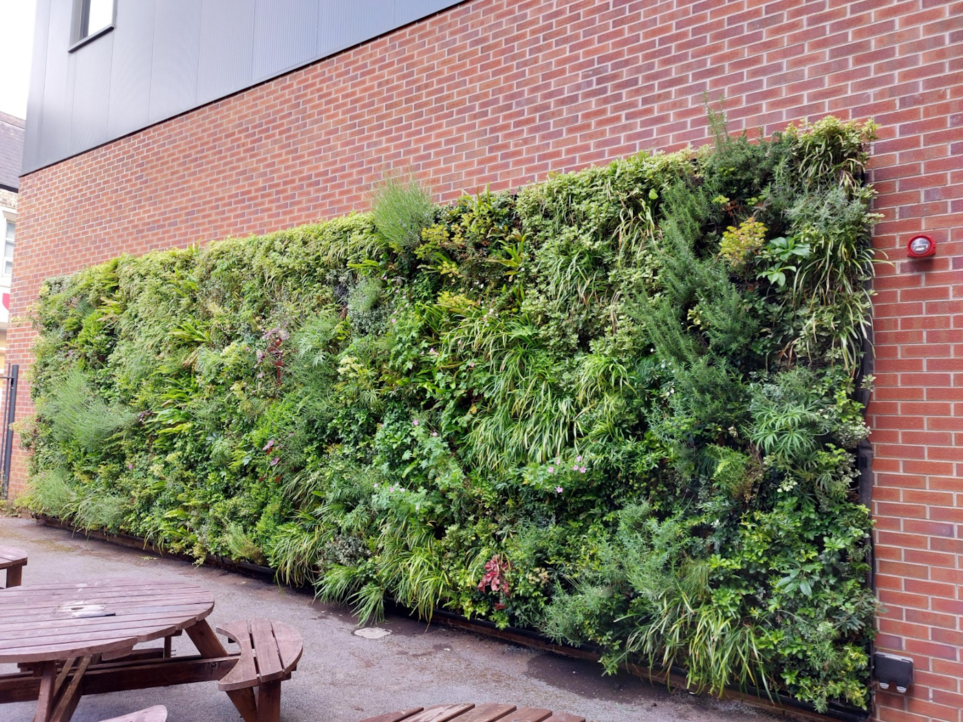 Living Wall by picnic benches