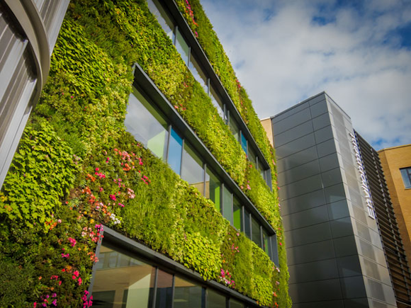 The link between sustainable architecture and tackling climate change