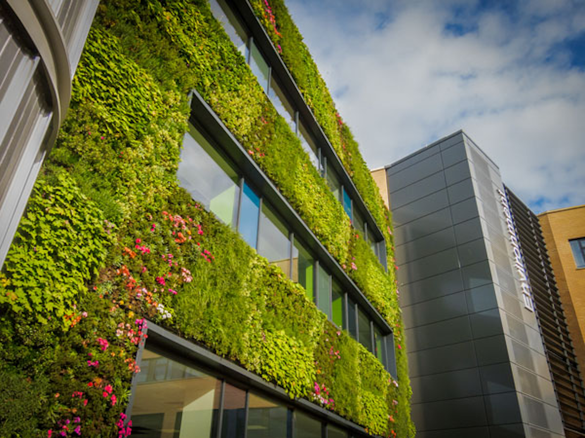Living Wall At University Of York With Pink Flowering Plants
