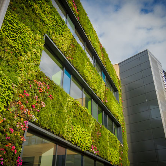 The link between sustainable architecture and tackling climate change