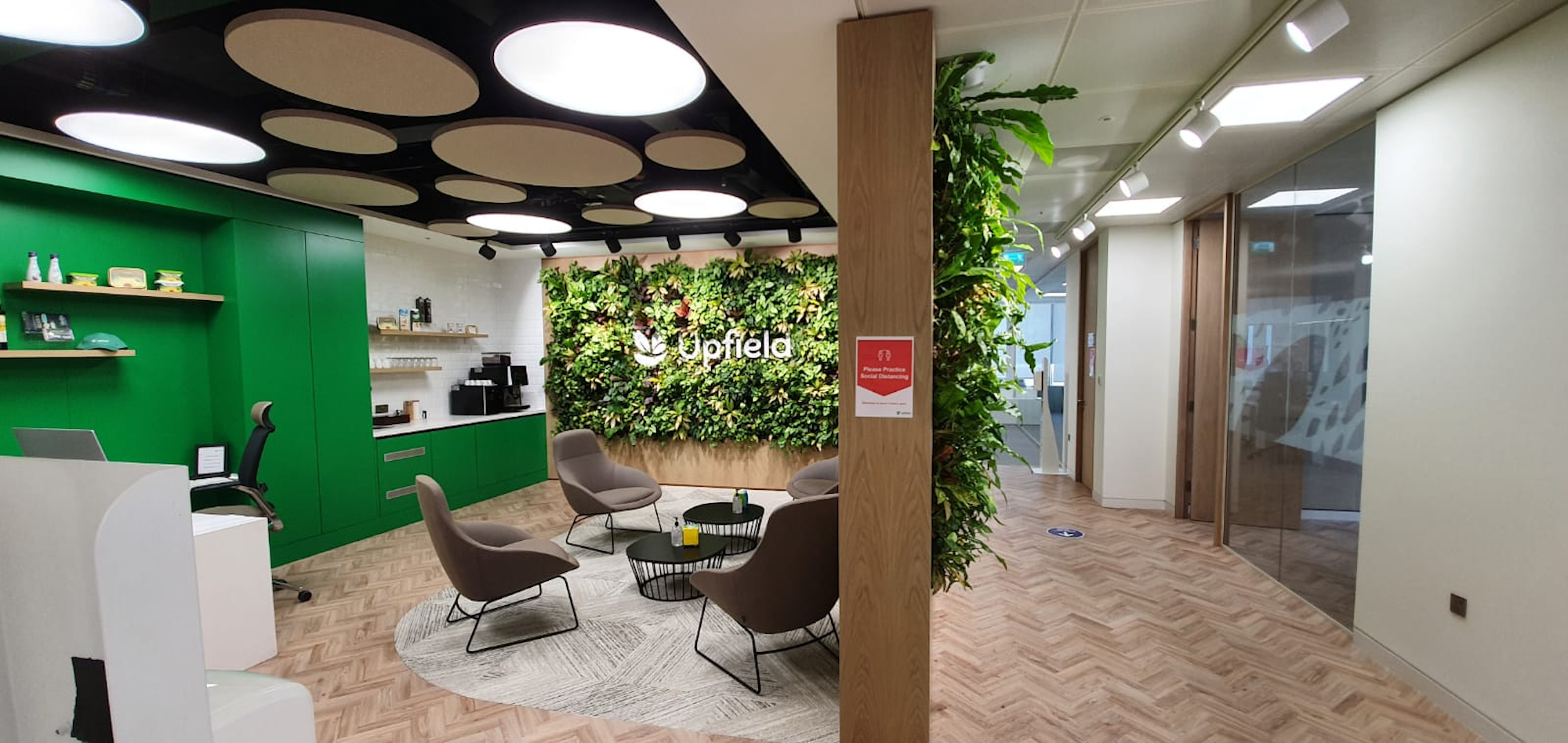 natural living green walls in an office space
