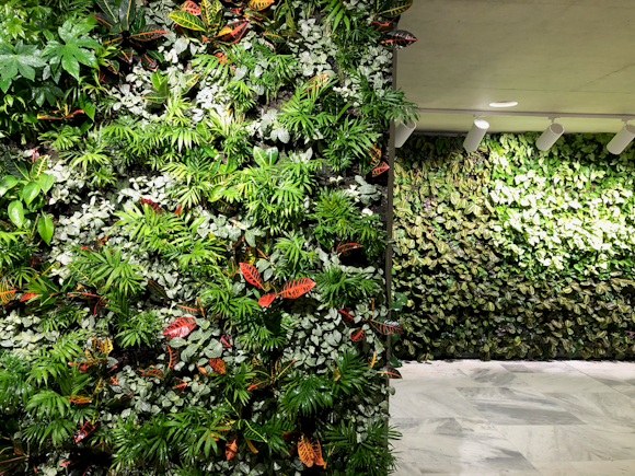 5 reasons why your office space needs a living wall