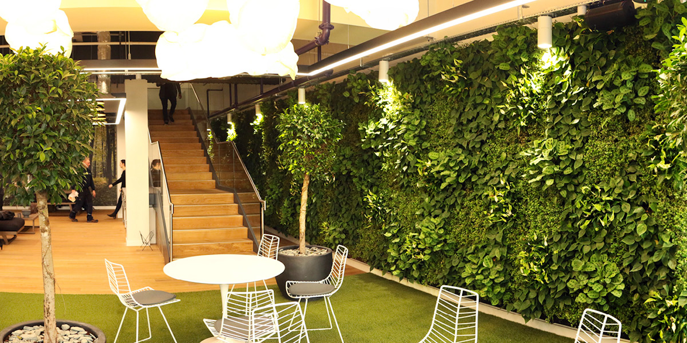Extensive Living Wall At Zoopla Offices and Workspace In London