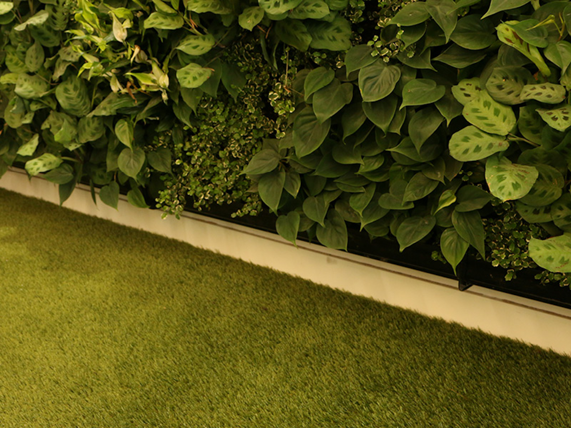 Natural Living Wall With Gutter And Astro Turf In Zoopla Property Group Offices
