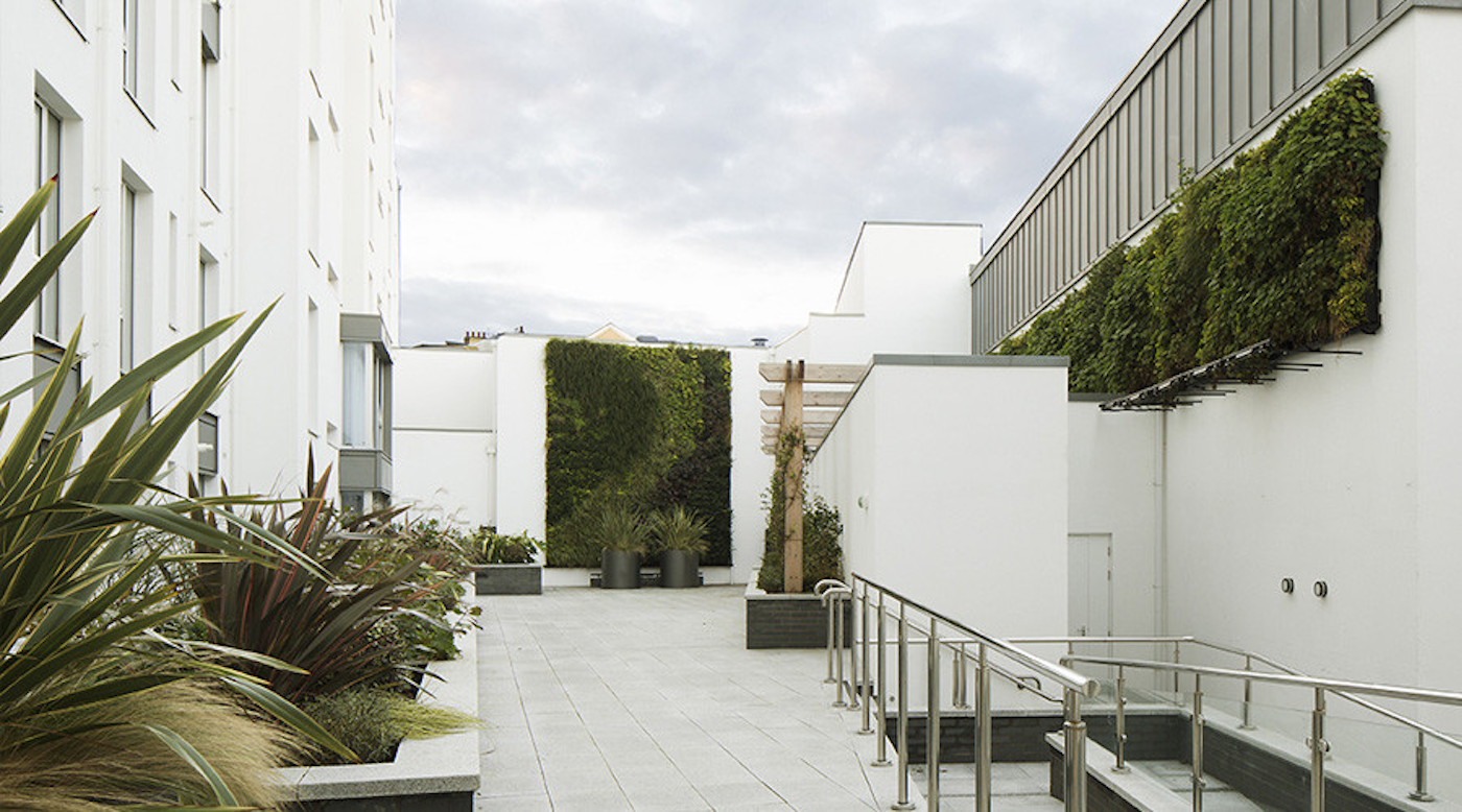 two living walls in a white courtyard of a hotel