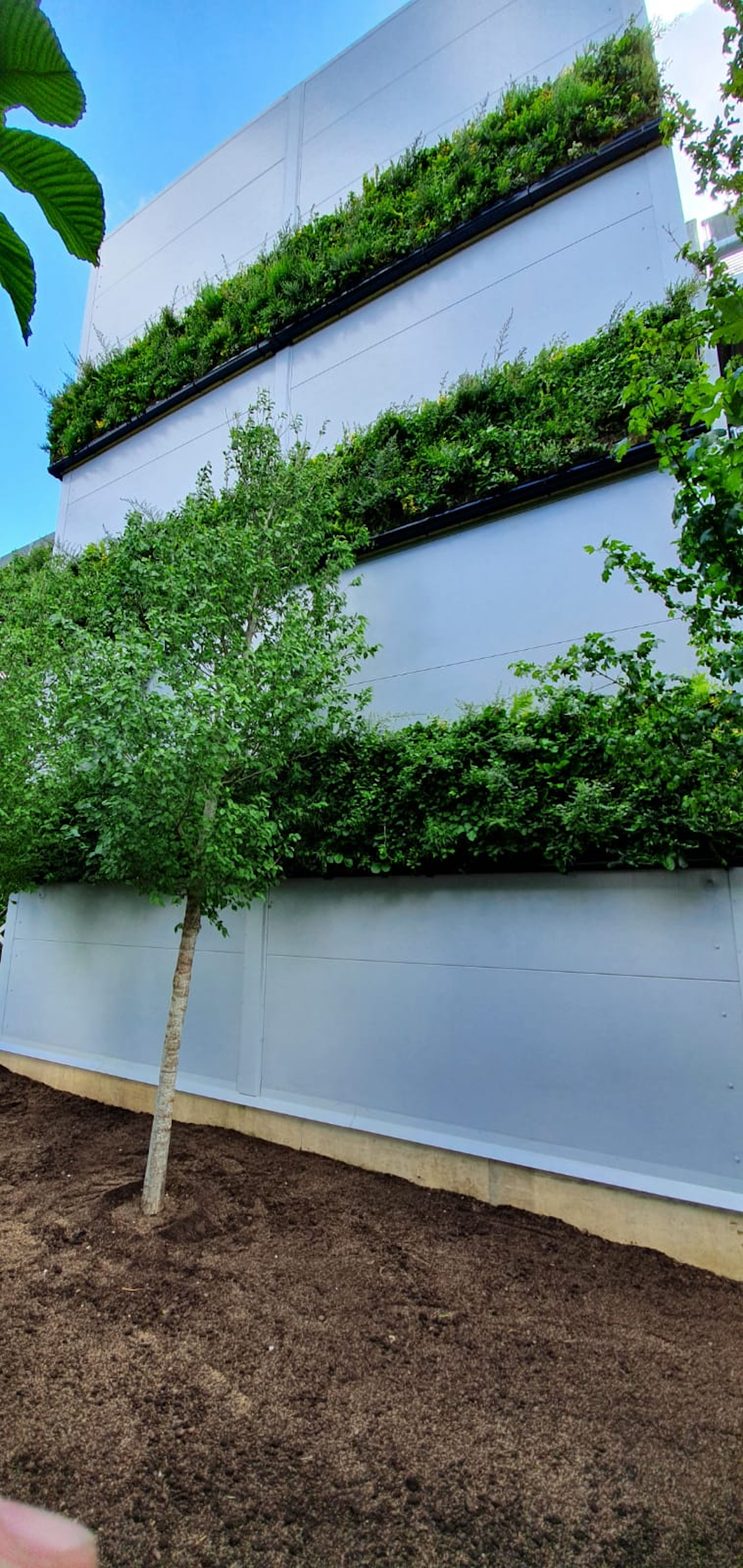 Bedfont car park Living Wall with trees