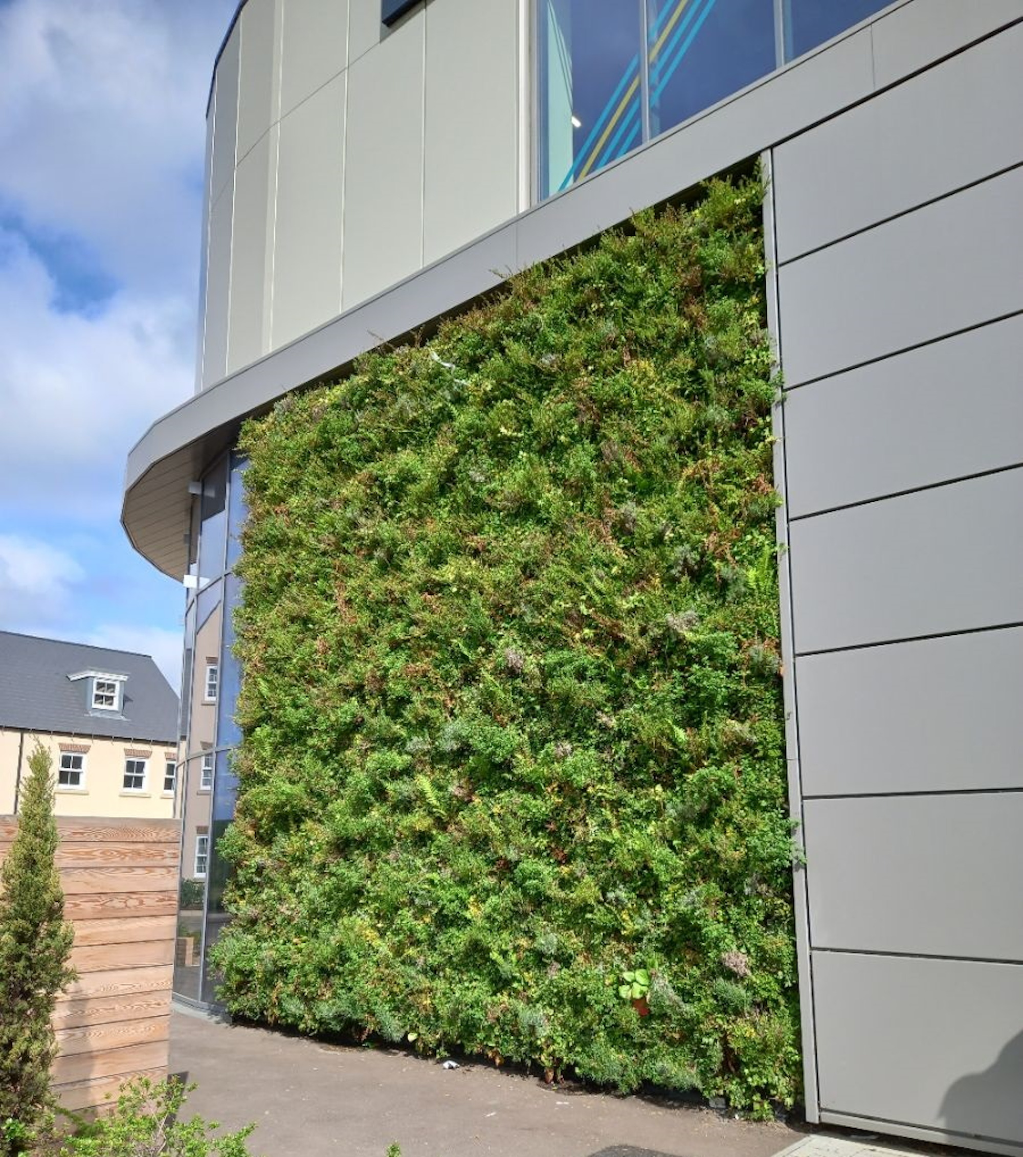 a green lush living wall on a commercial retail building