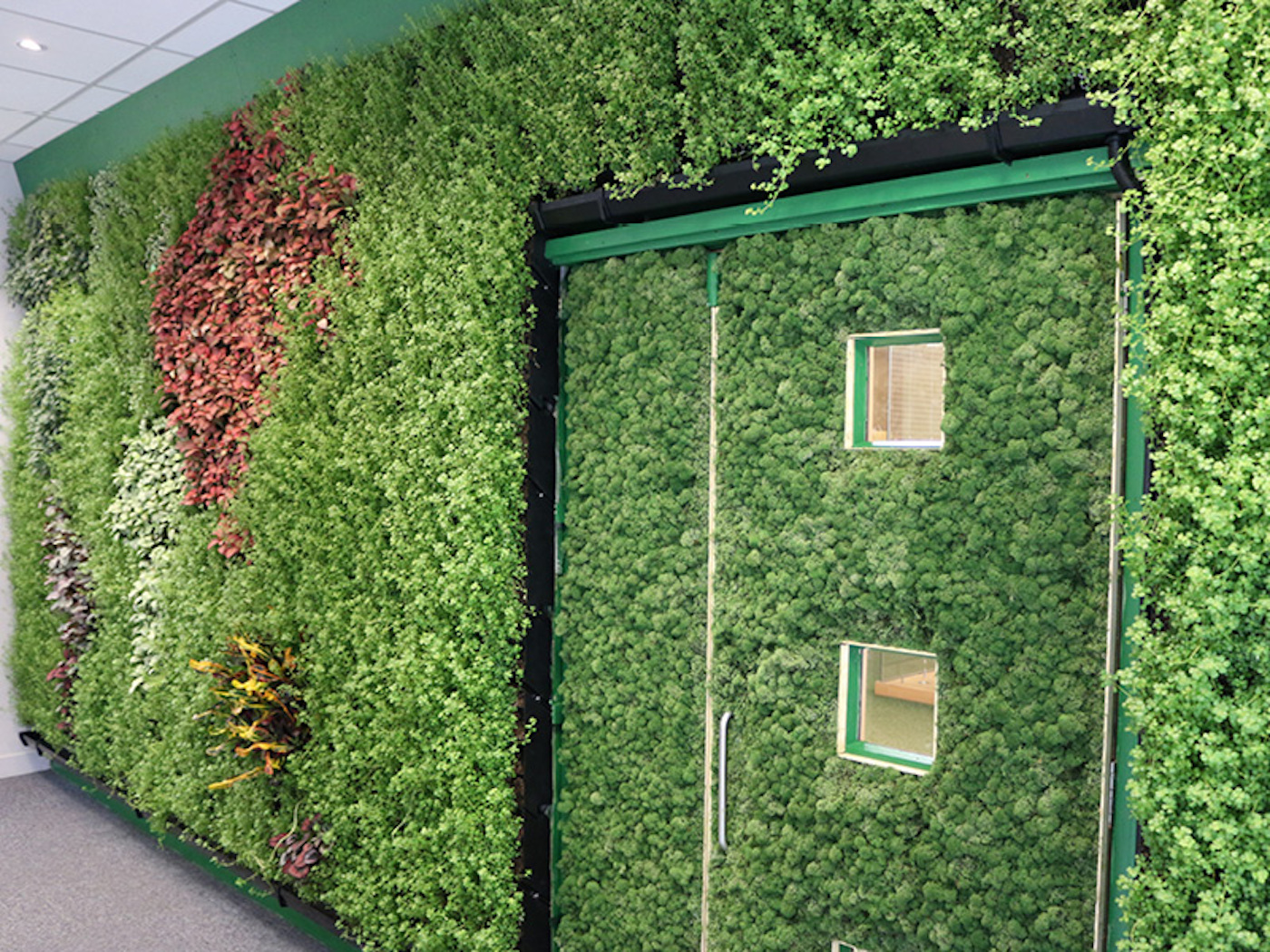 Living Wall And Moss Art At Bord Bia Offices In Dublin