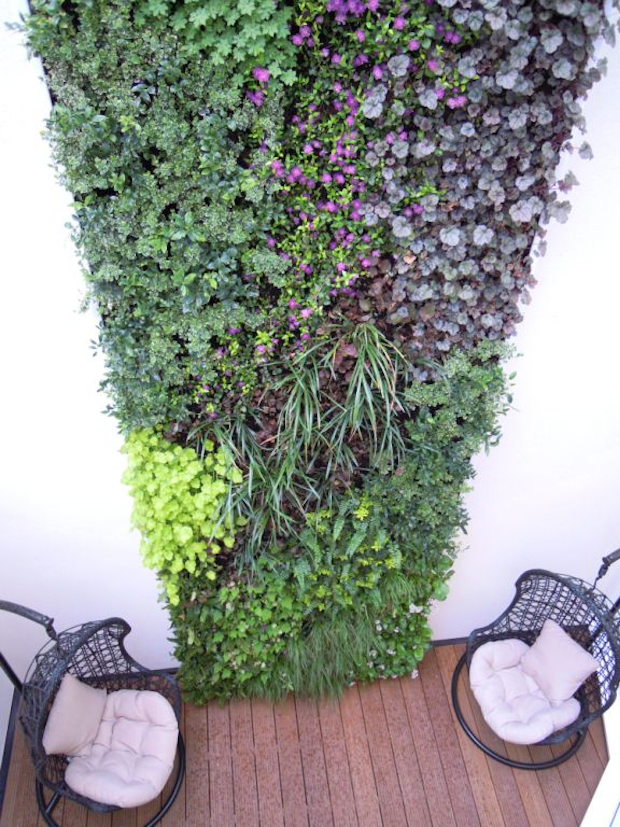 pink flowers in a vertical living wall with two chairs