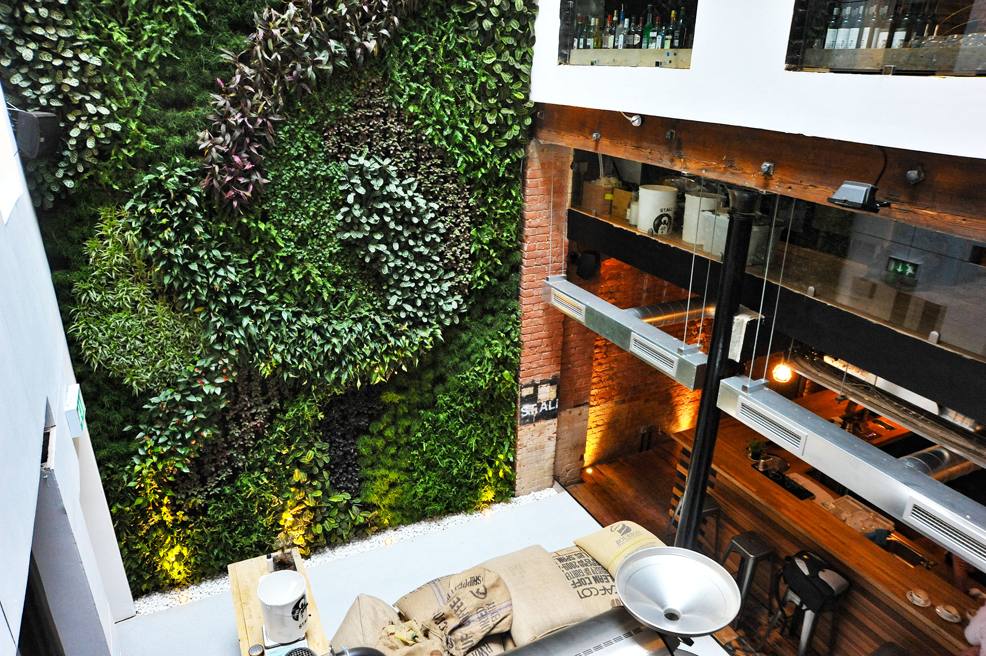 vertical green wall in a coffee shop