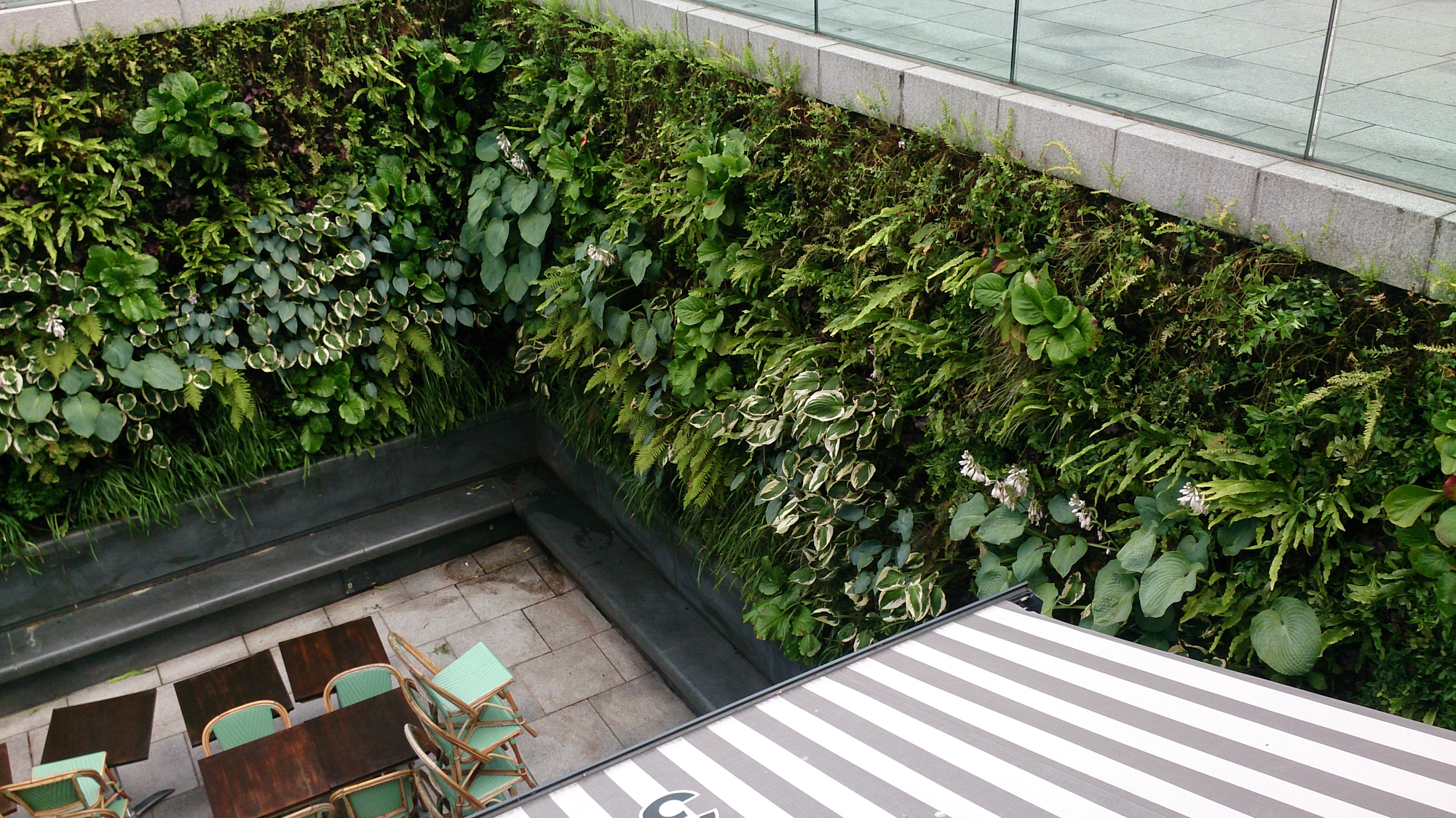 living wall at a restaurant eating area