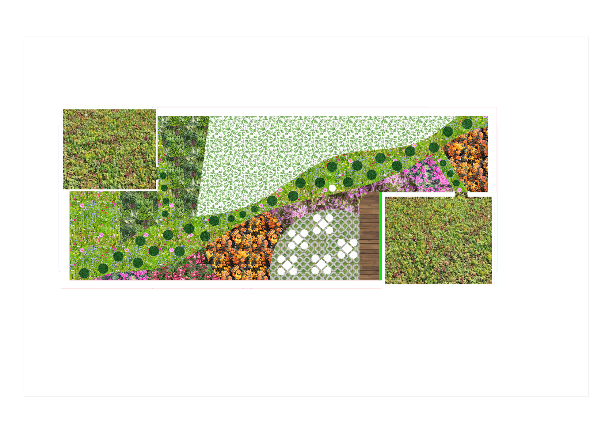 Plan view of designed green roof for staff well-being and biodiversity