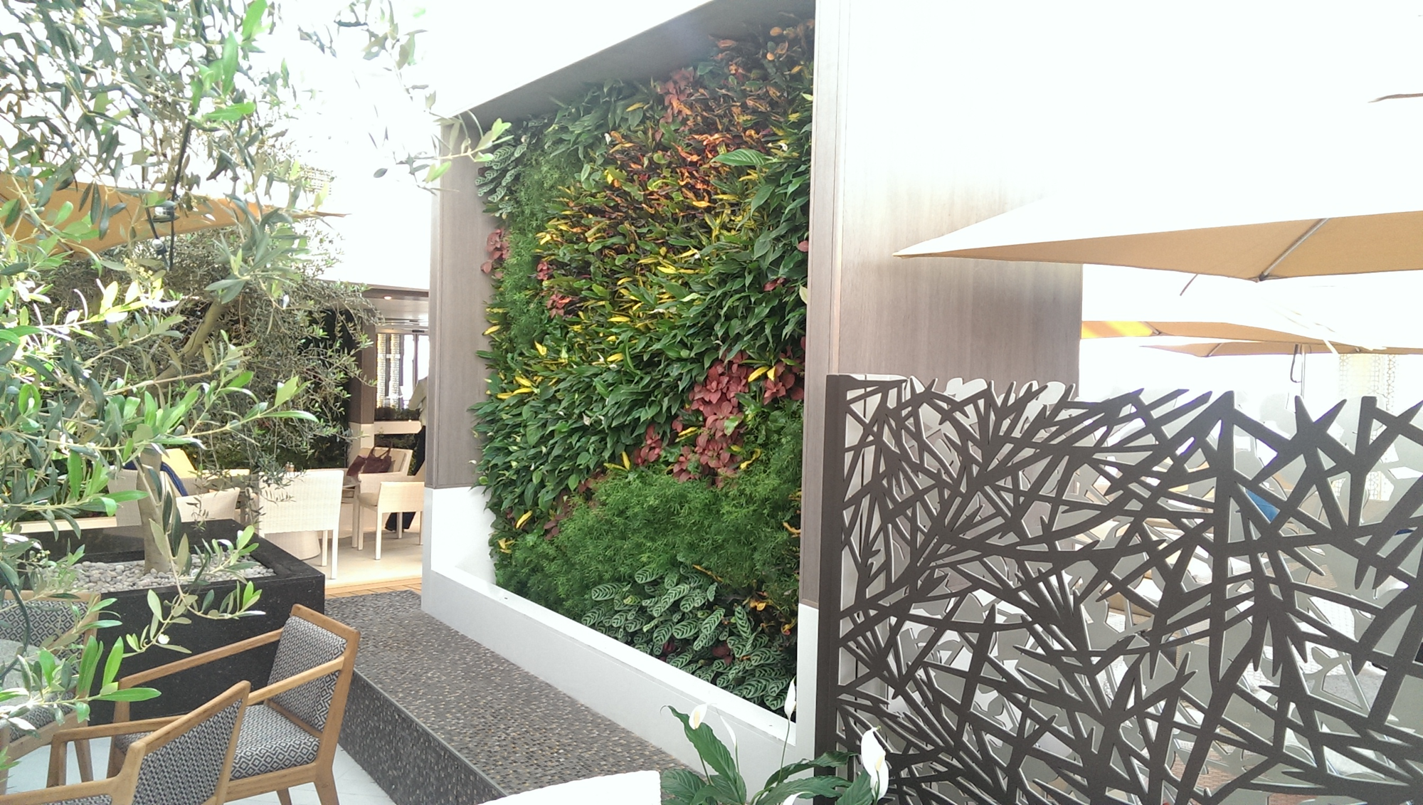 living wall  in an outdoor living area