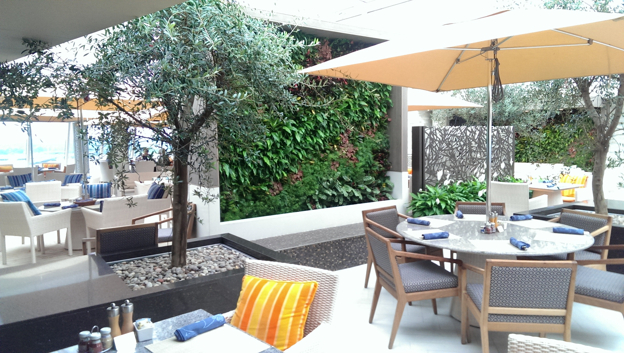 living wall as a backdrop to an outdoor dining area on a cruise ship