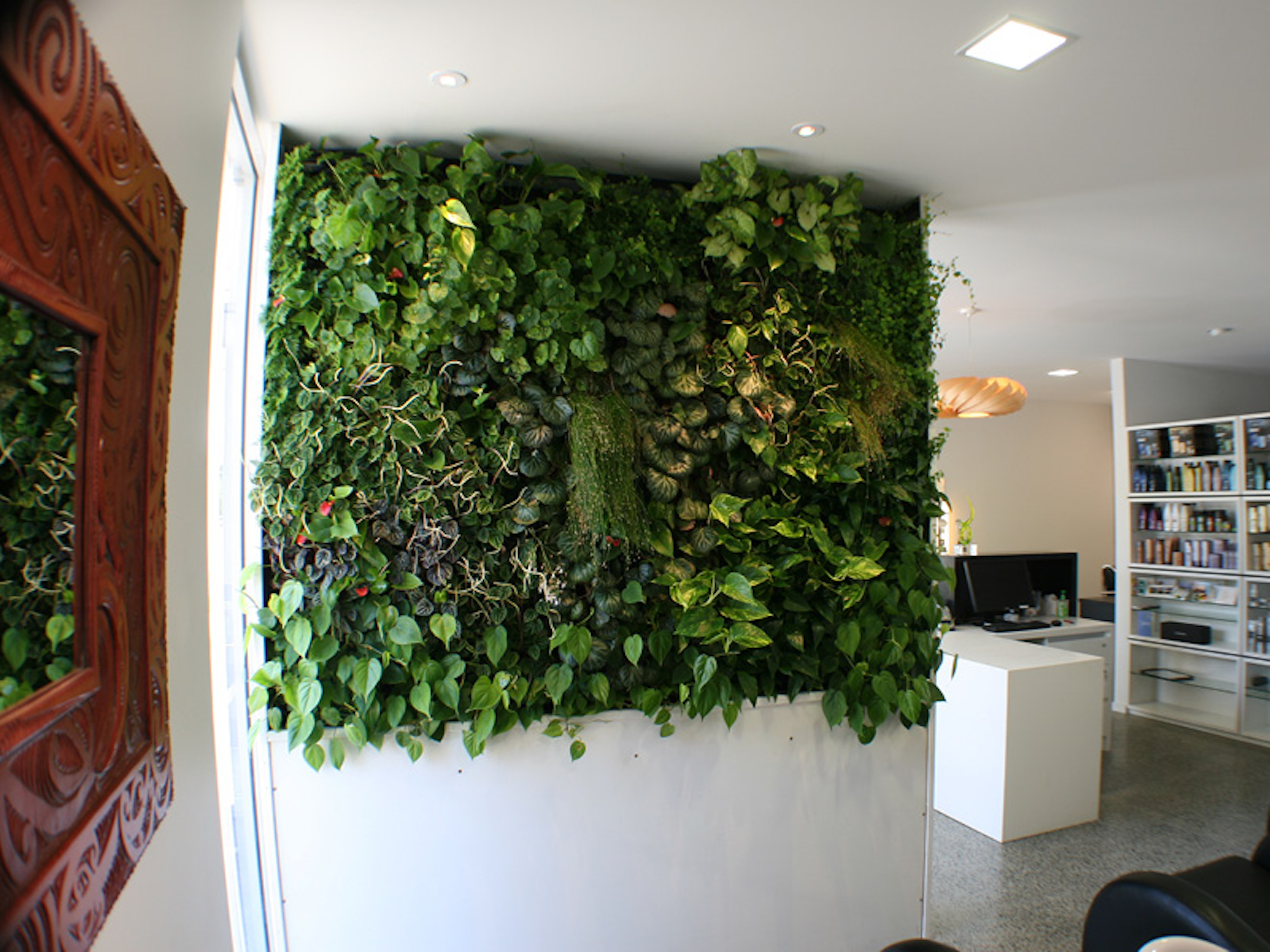lush tropical living wall of interior plants in a hair salon