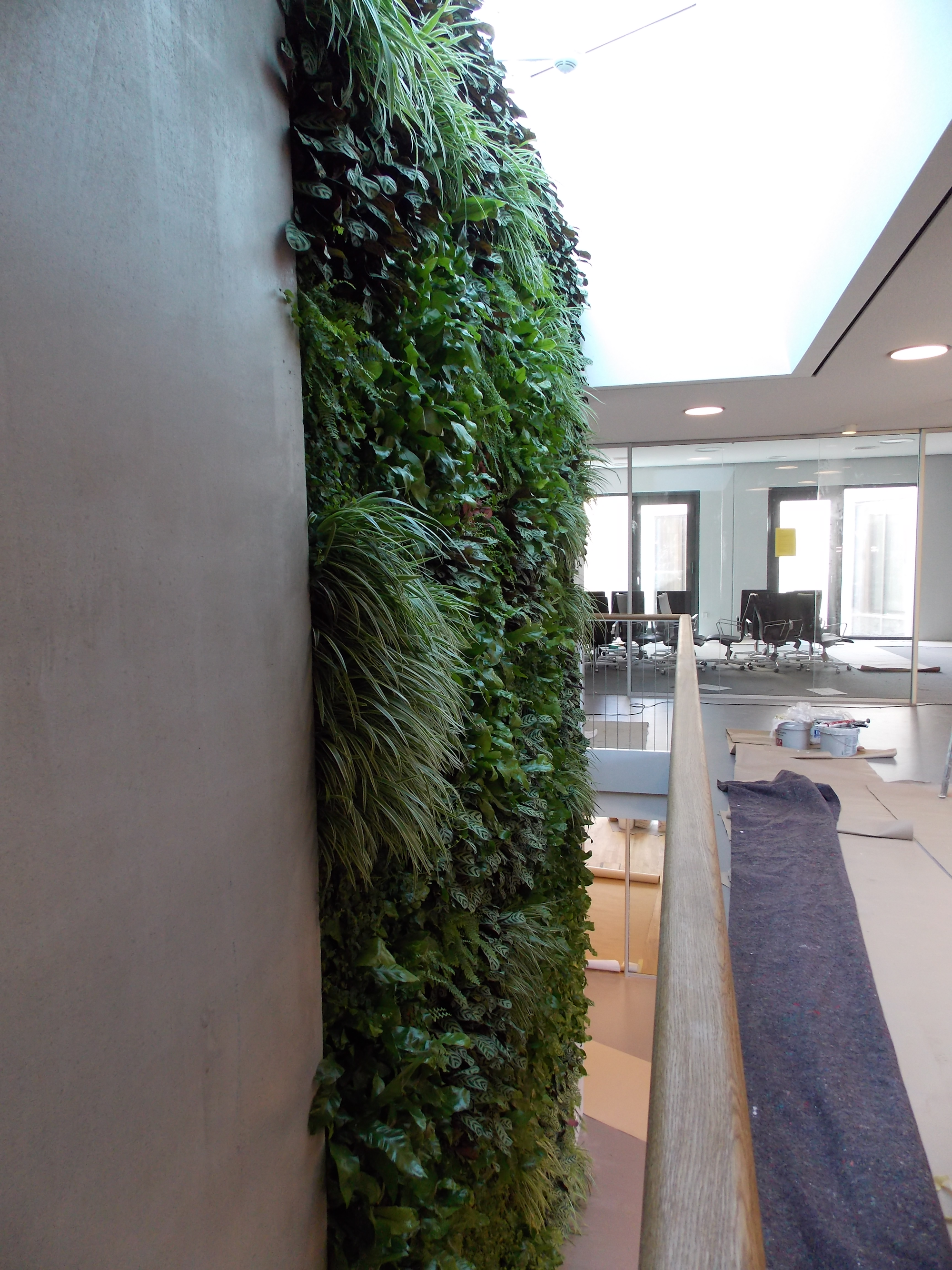 side view of lush interior plant living wall