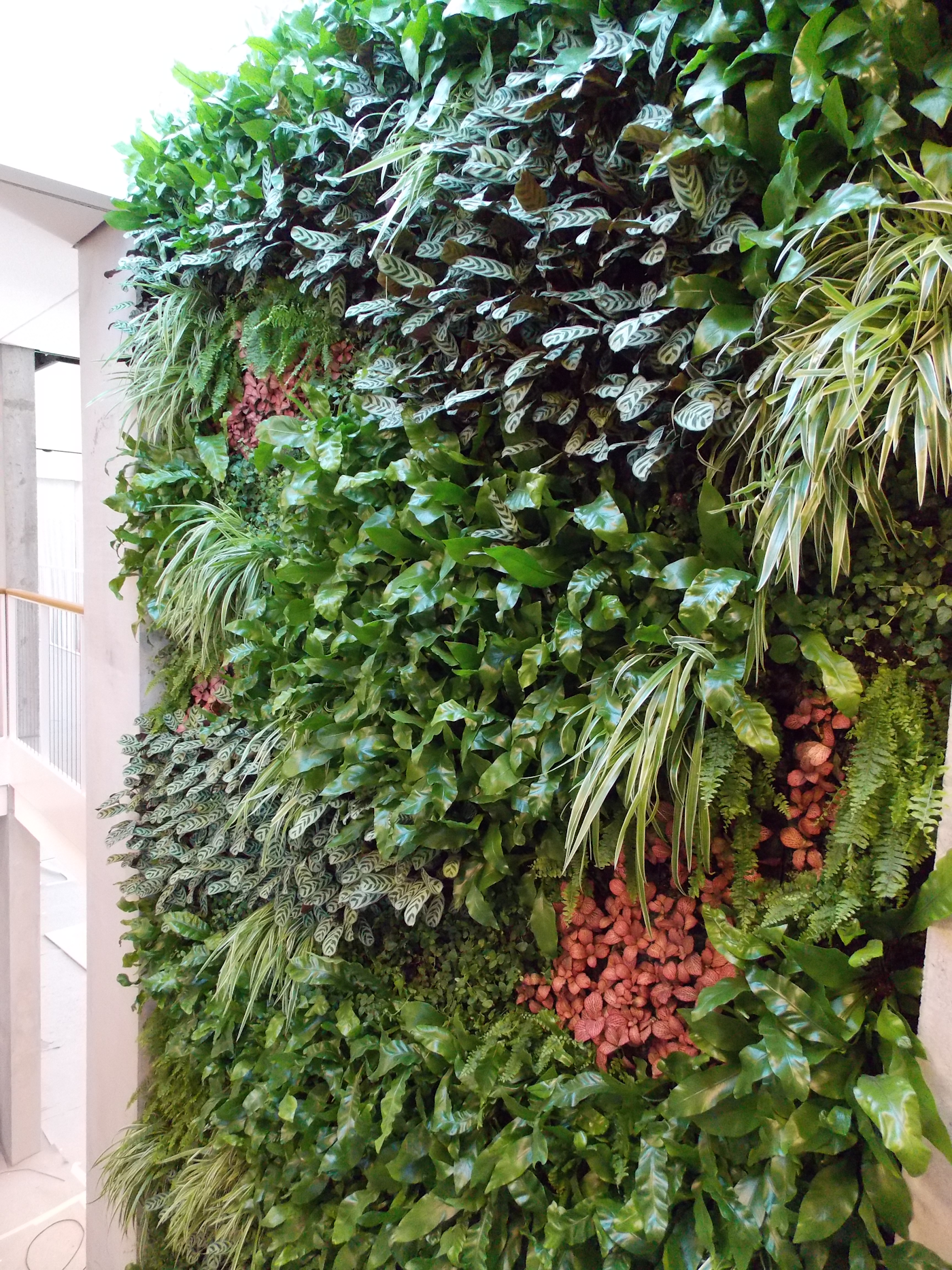 interior plants in a living wall in an atrium