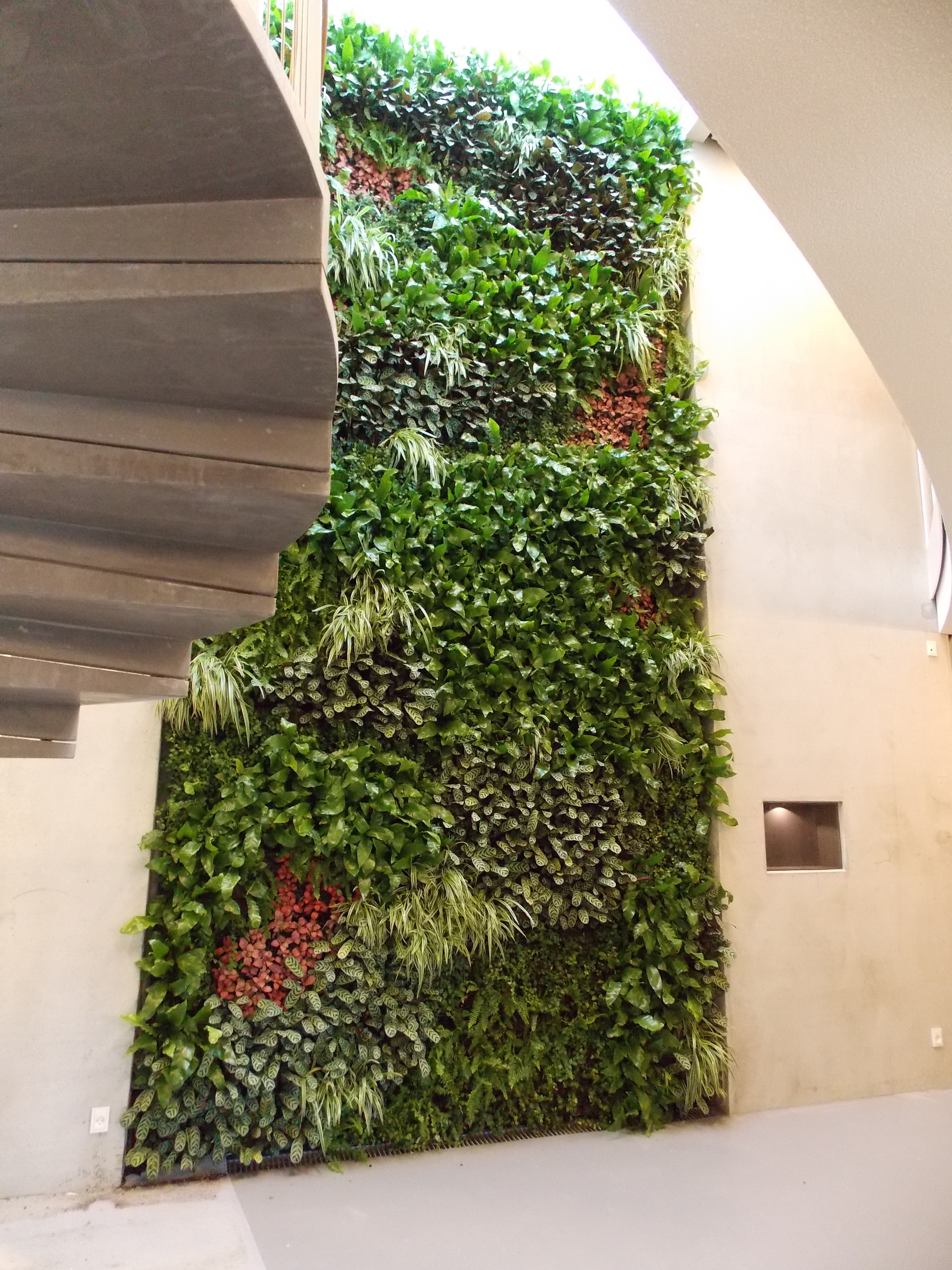 spiral concrete staircase in front of an interior green wall living wall
