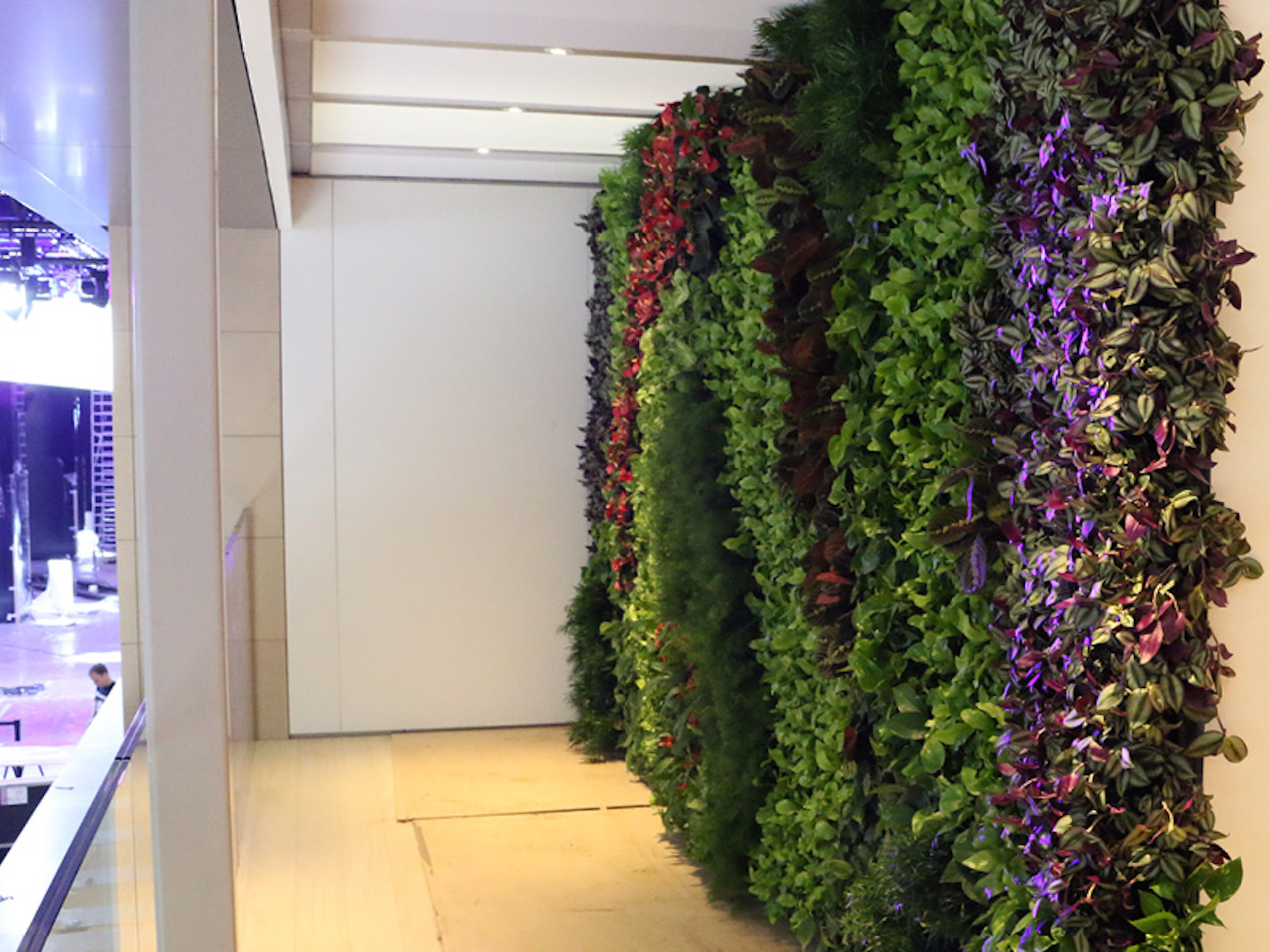 plants in a internal living wall at an exhibition