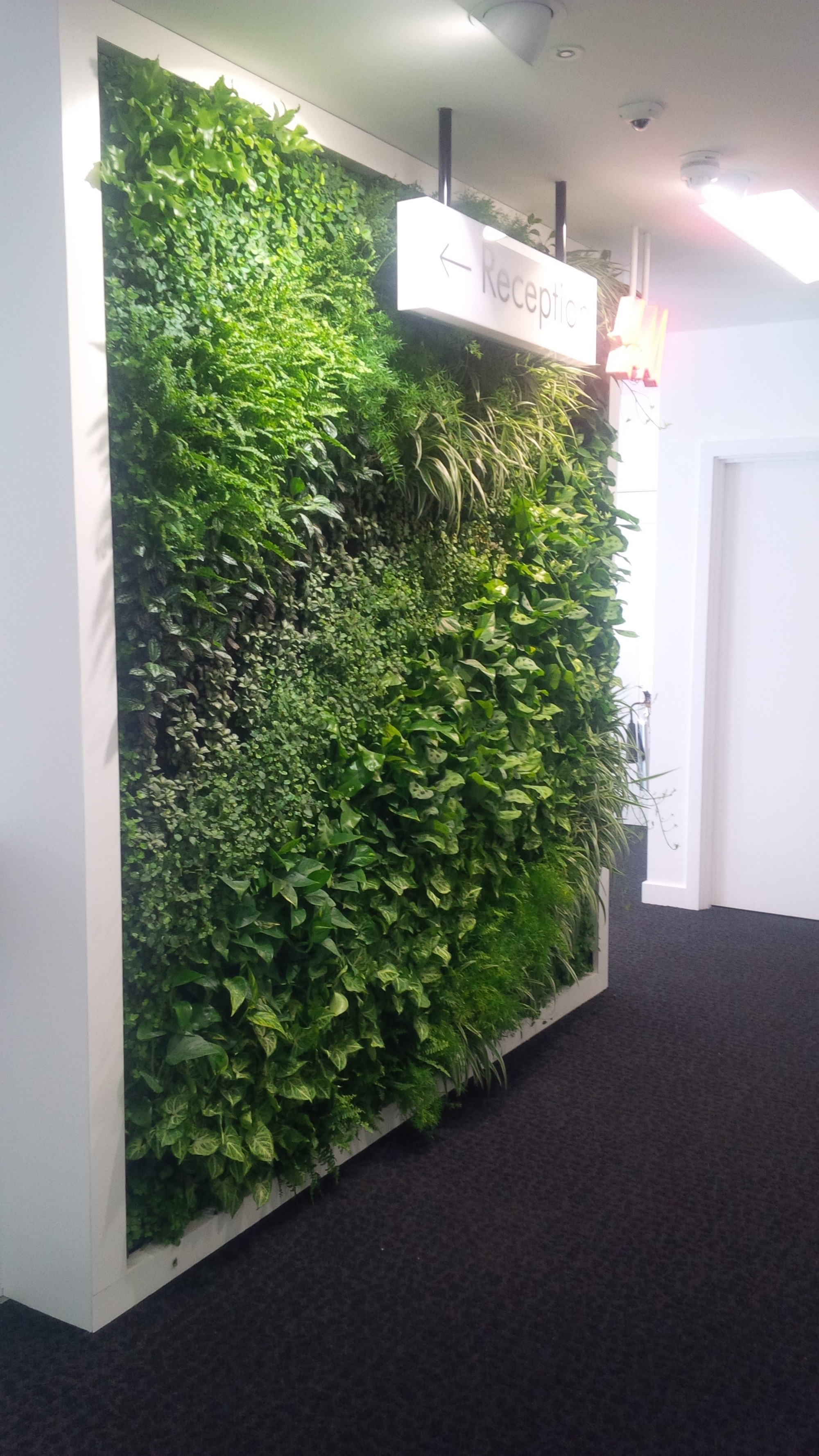 interior living wall with neon signage