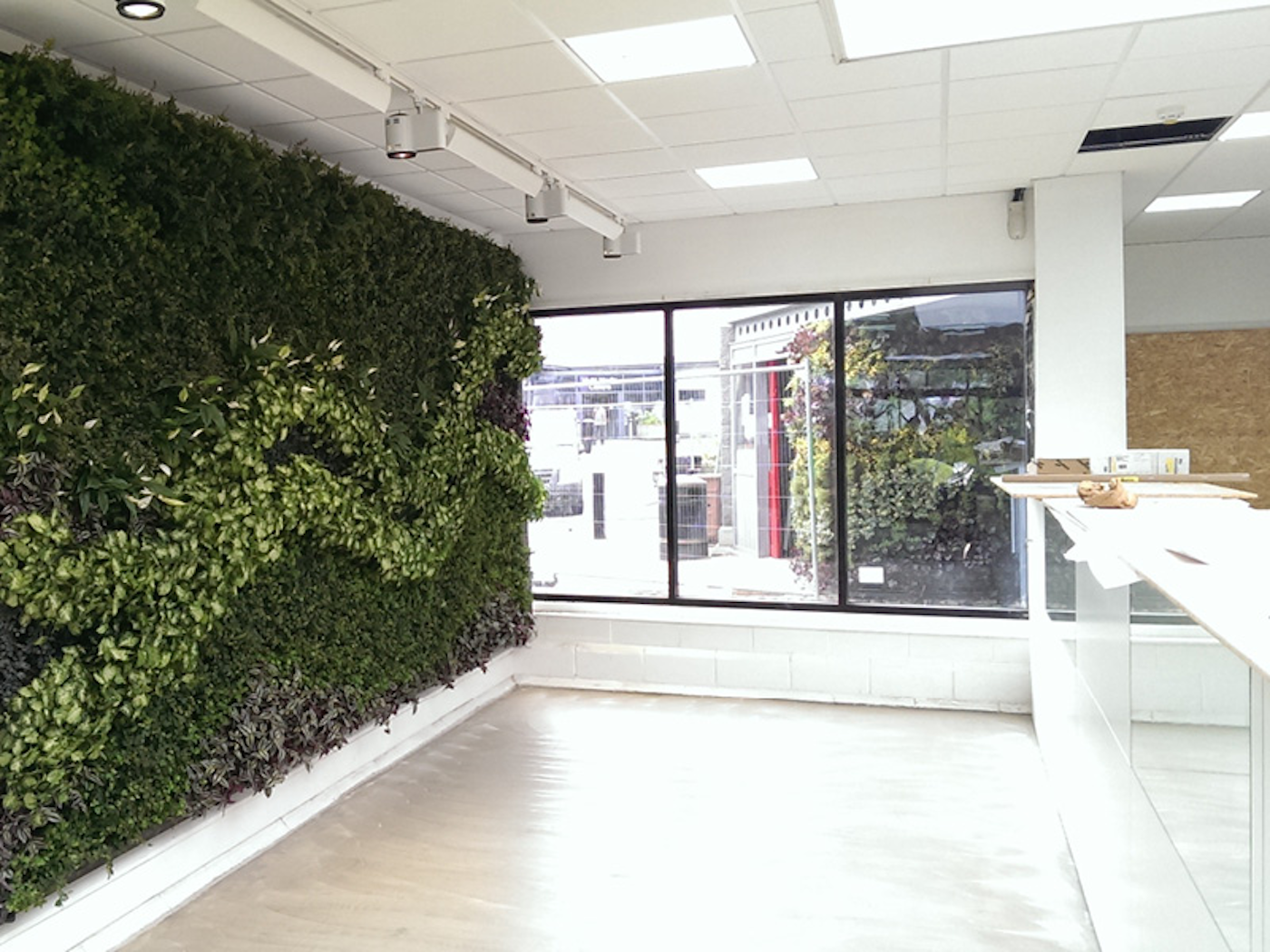 swathed green interior living wall in a reception area