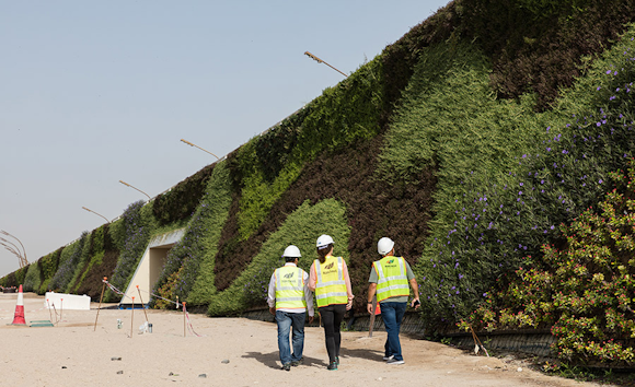 ANS living wall, the largest in the world