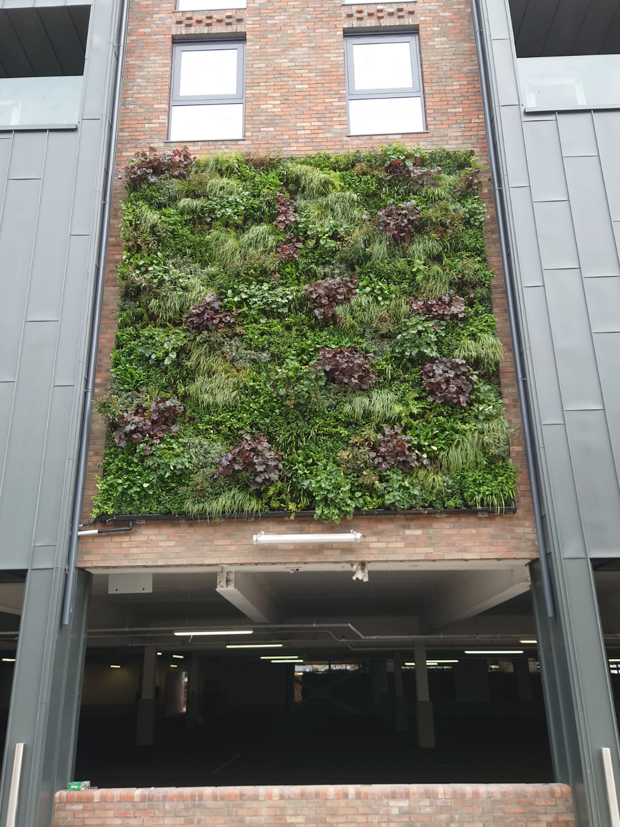 living wall on side of commercial retail building
