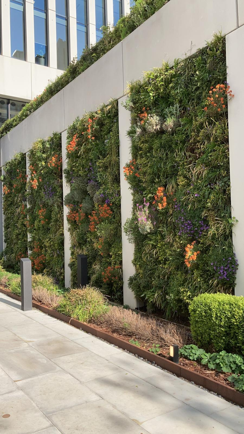 flowering living wall on the side of a white building