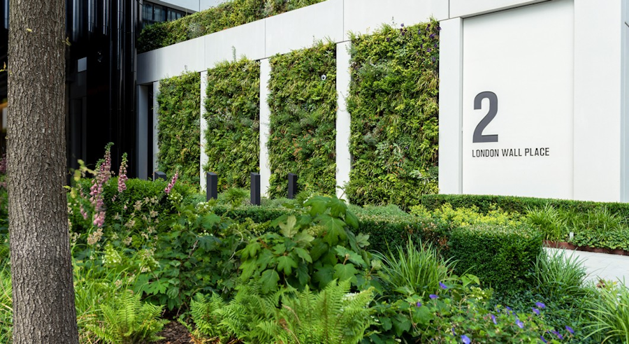 Living Wall Case Study London Wall Place