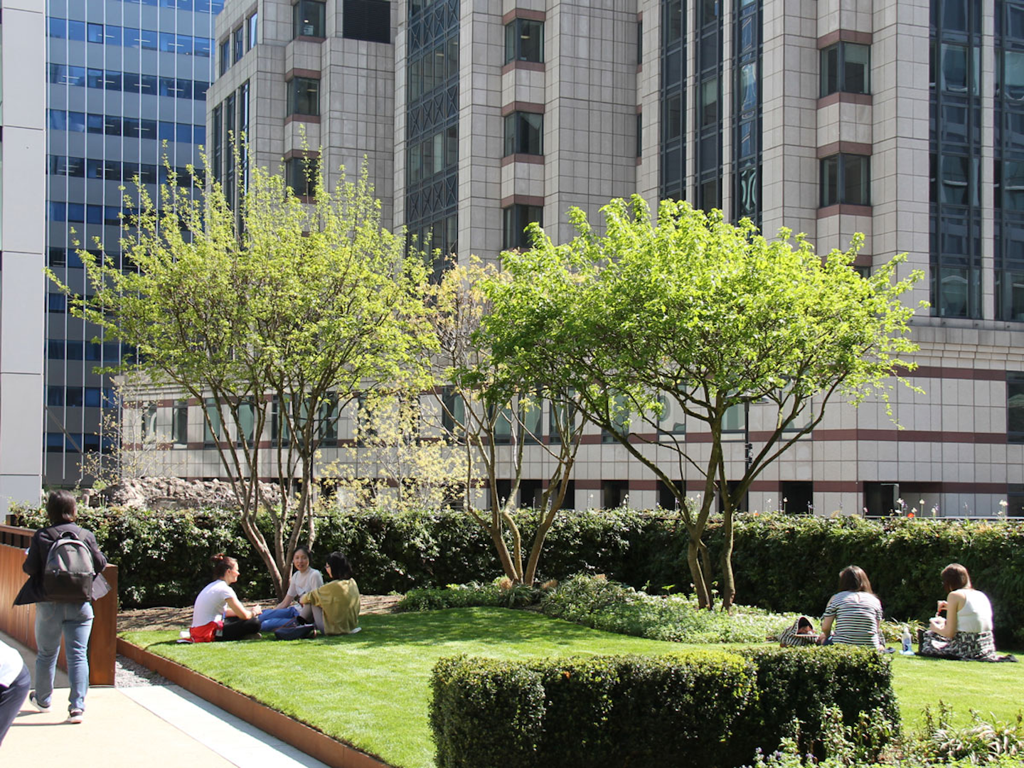 People sitting and relaxing on a living roof in the city