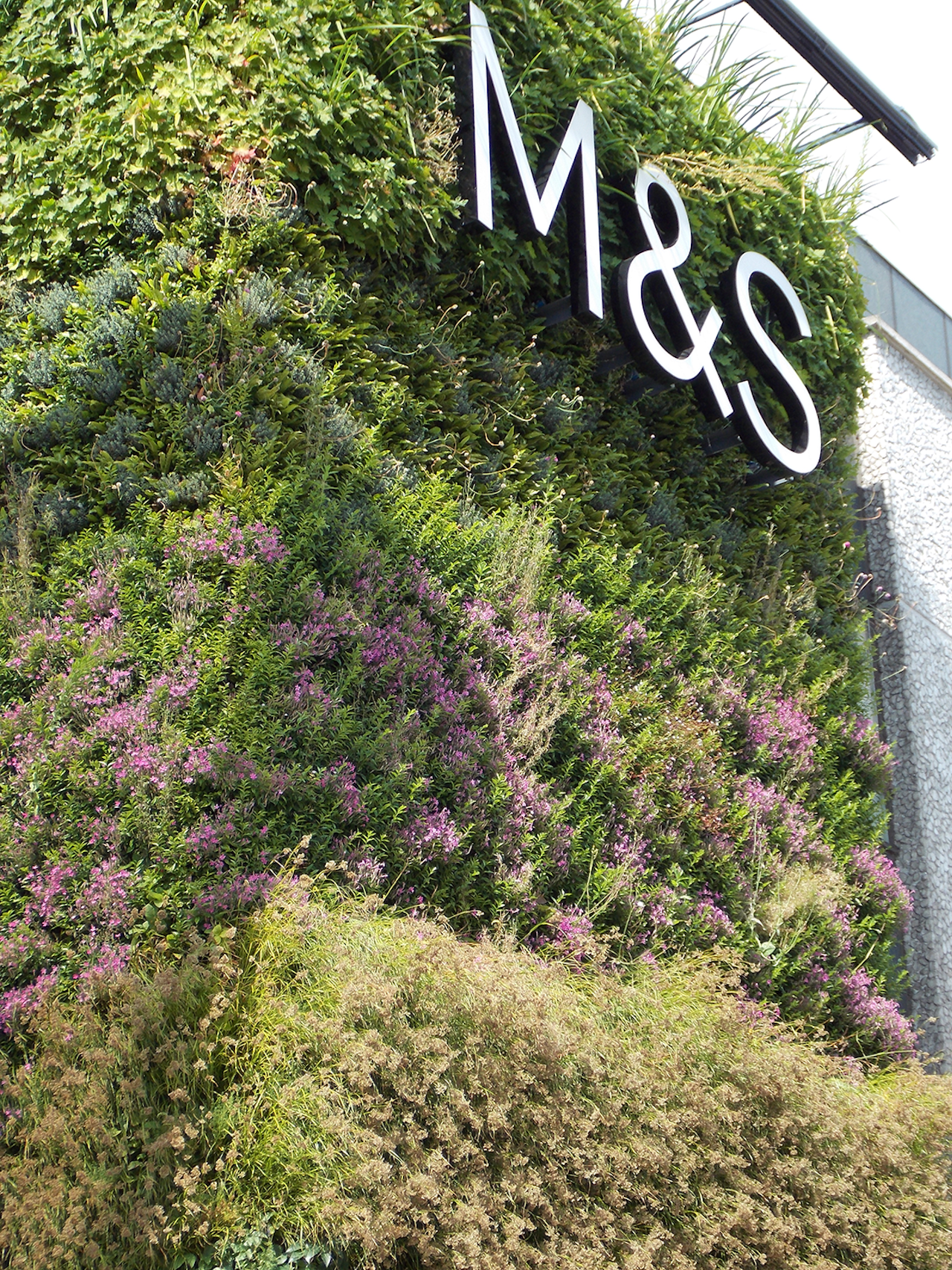 living wall at M&S newcastle