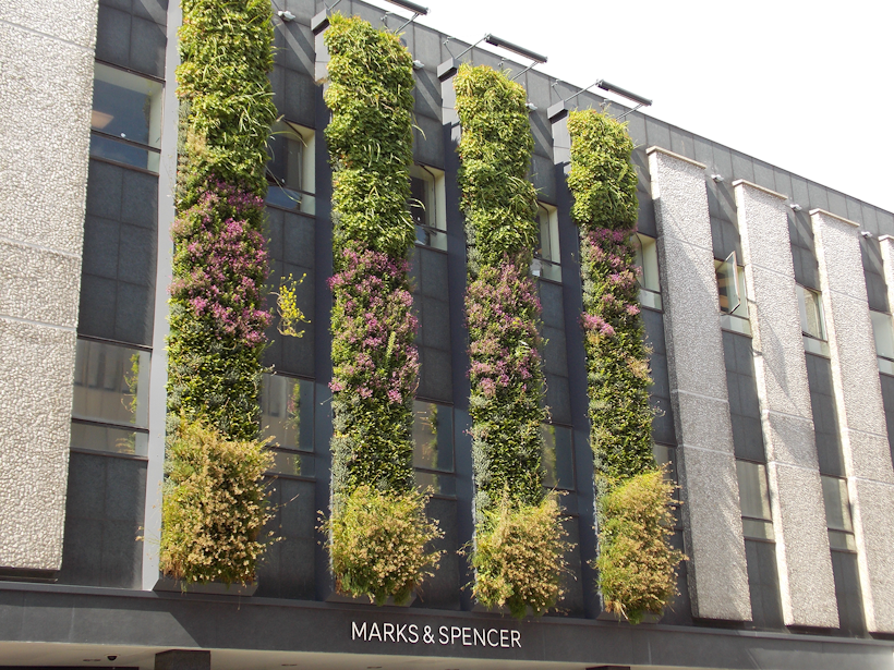 sustainable living wall