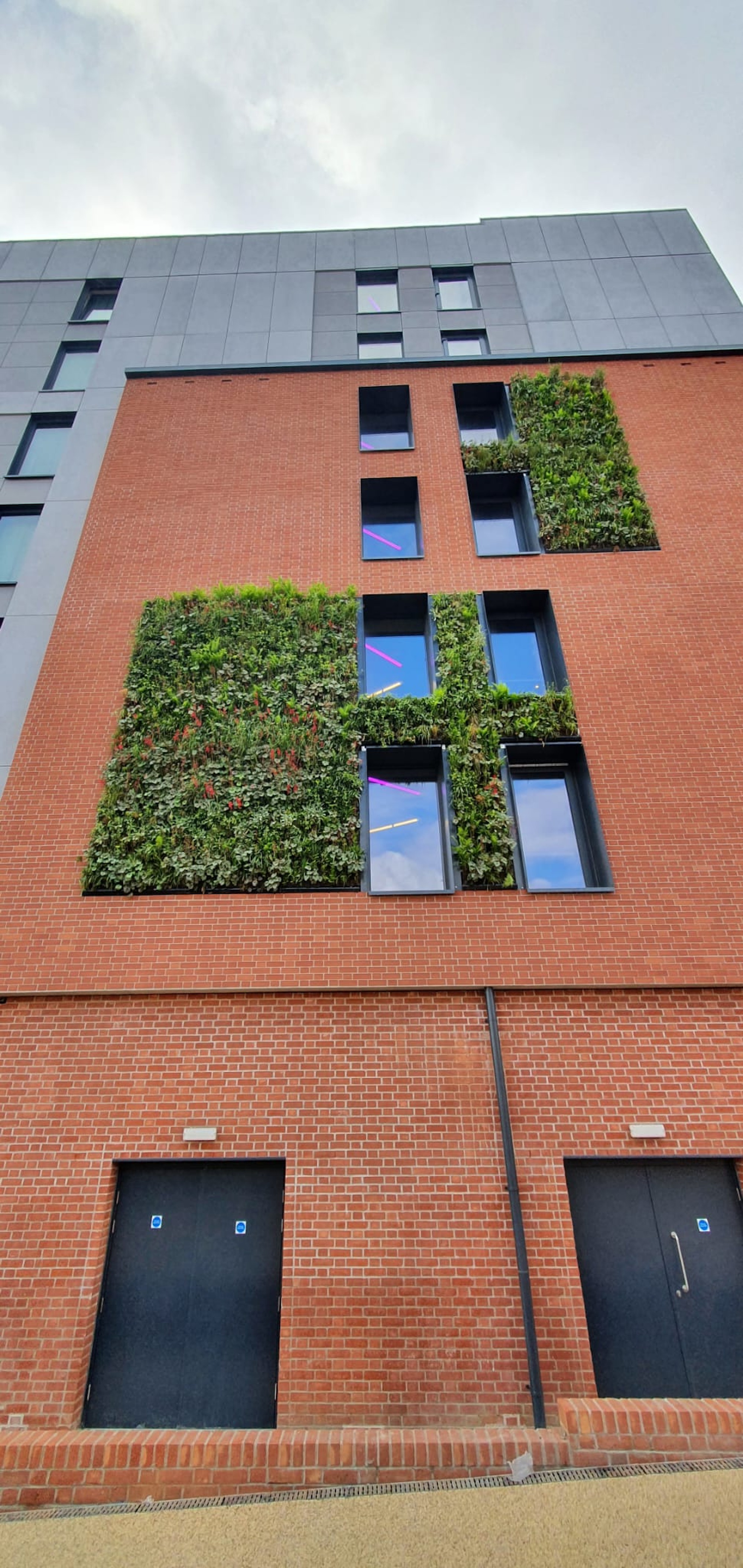 looking up at a commercial brick facade with green walls