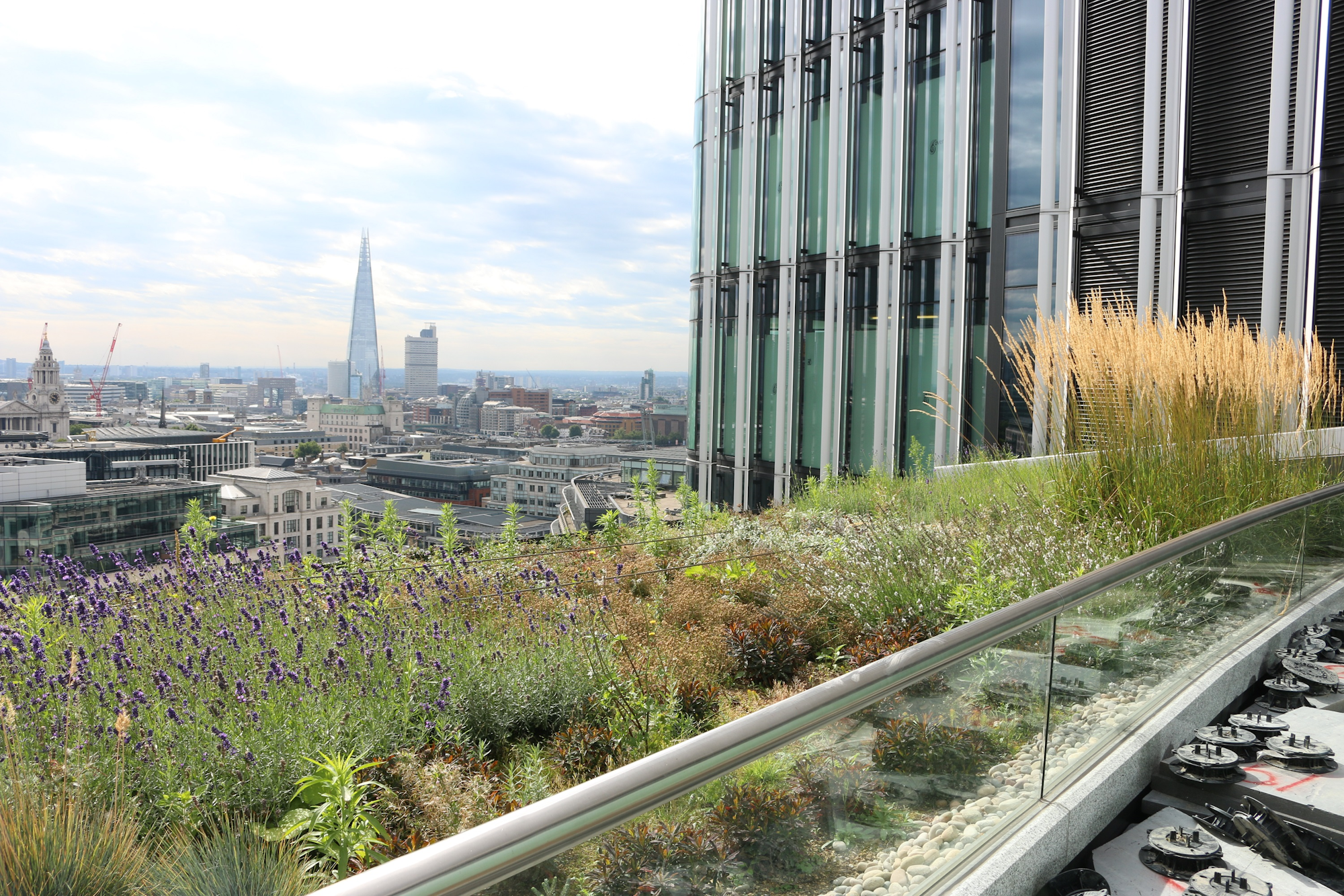 green roof behind a glass balustrade overlooking the shard and high rise buildings