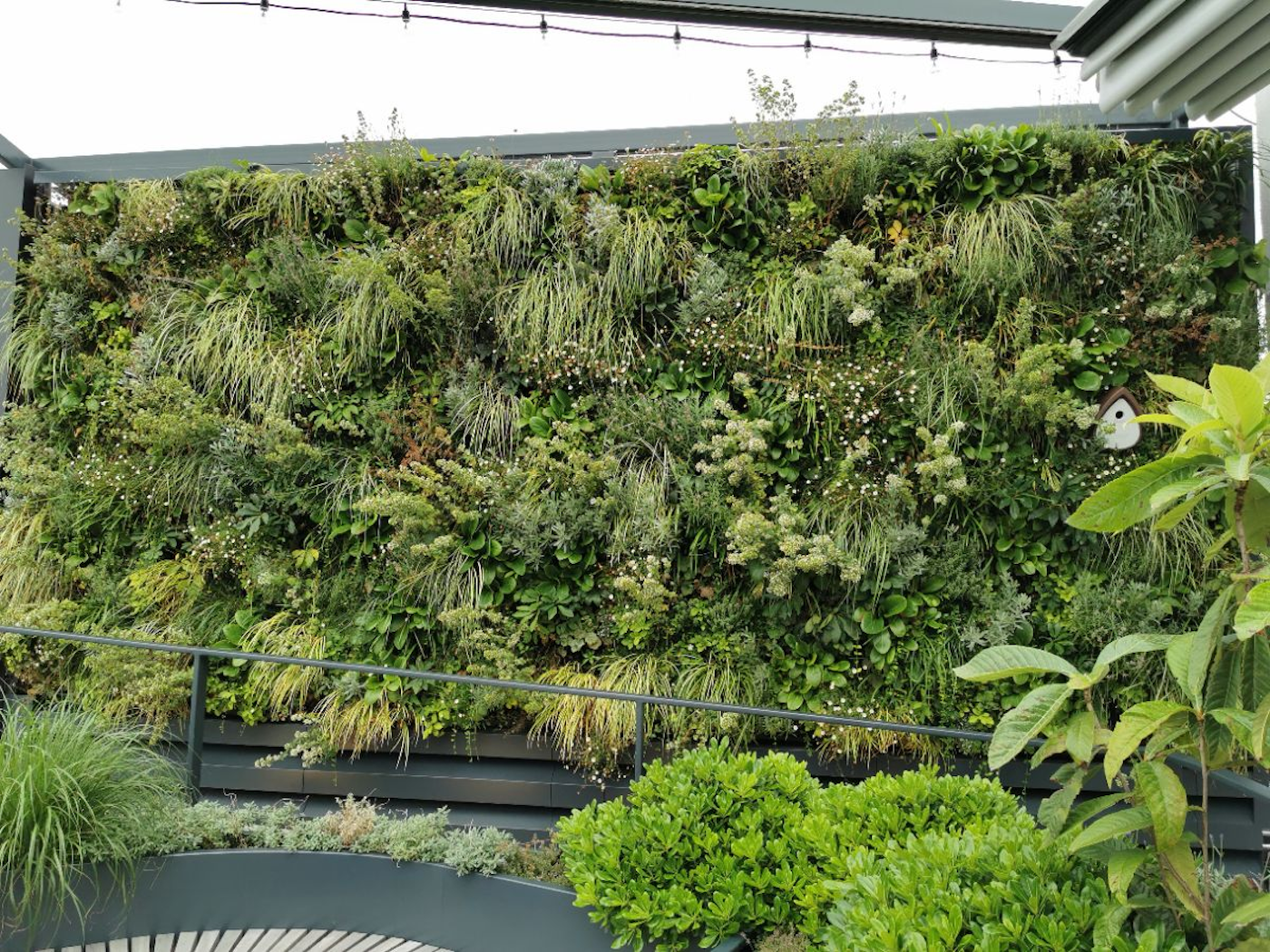 living wall with meadow grasses and flowers