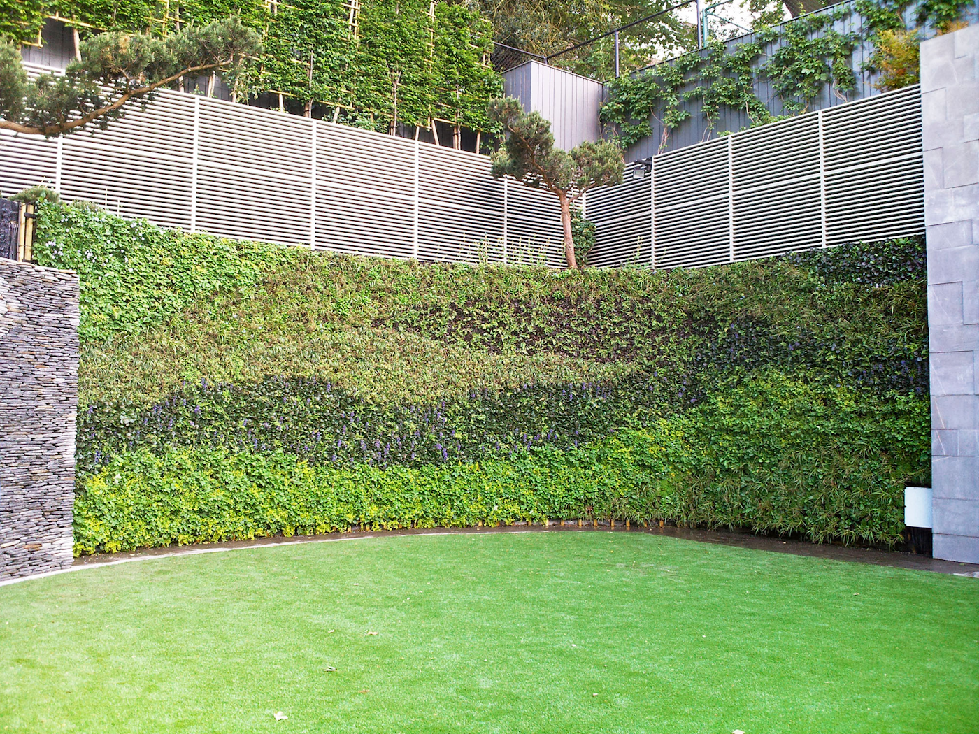 green wall in back garden