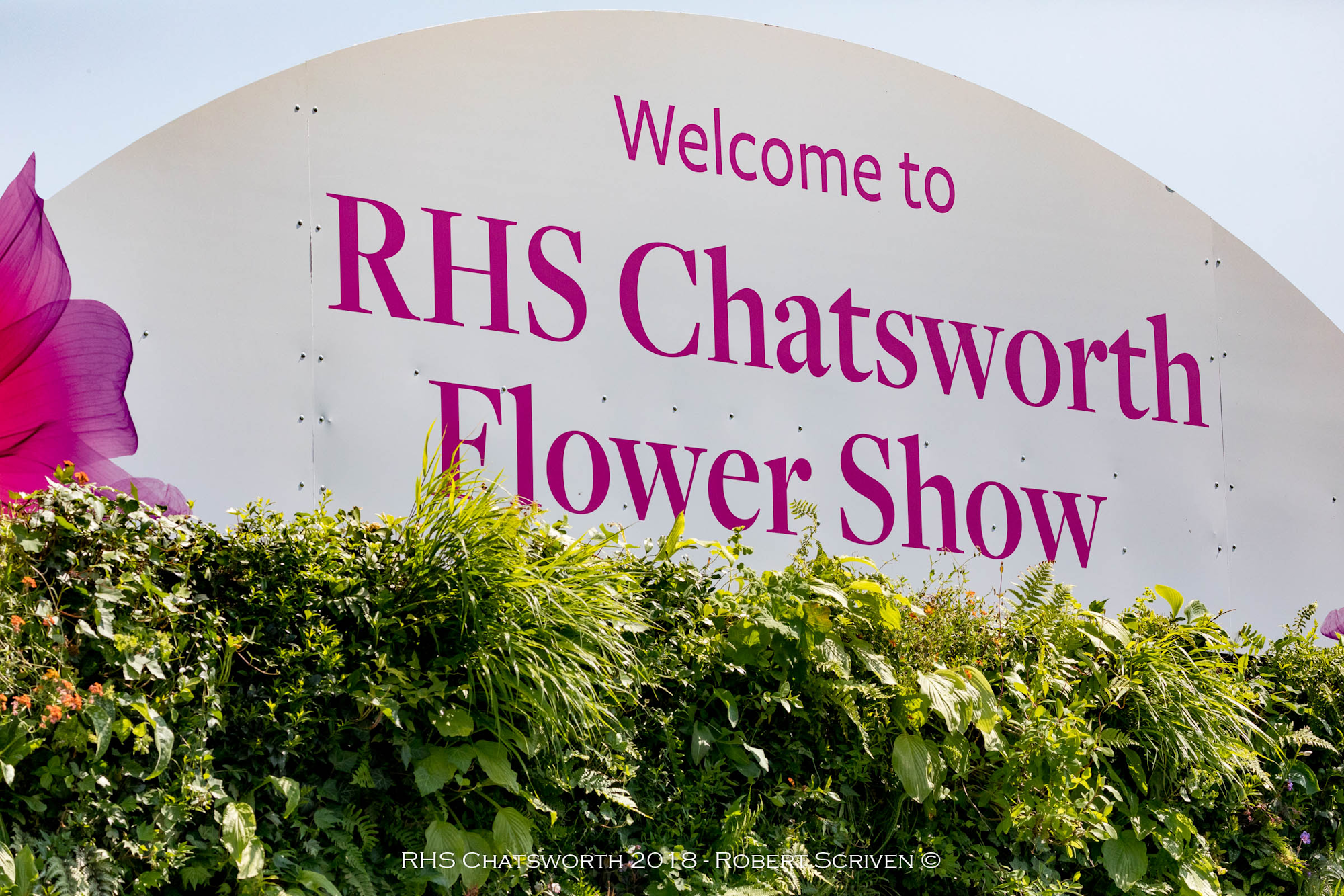 RHS Chatsworth Flower Show