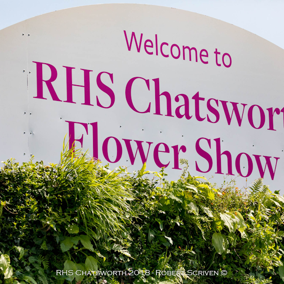 RHS Chatsworth Flower Show