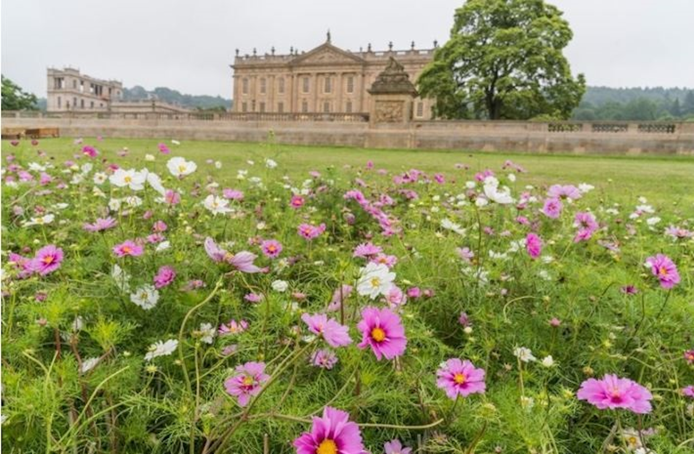 flower garden with stately home in the background