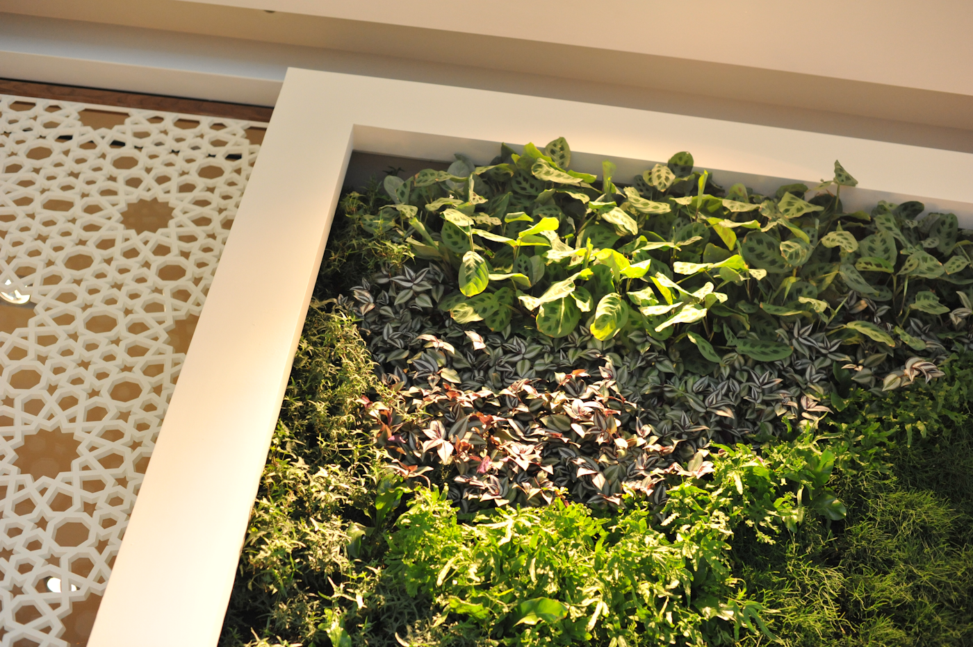looking up a vertical garden with indoor plants in an airport entrance way lounge area