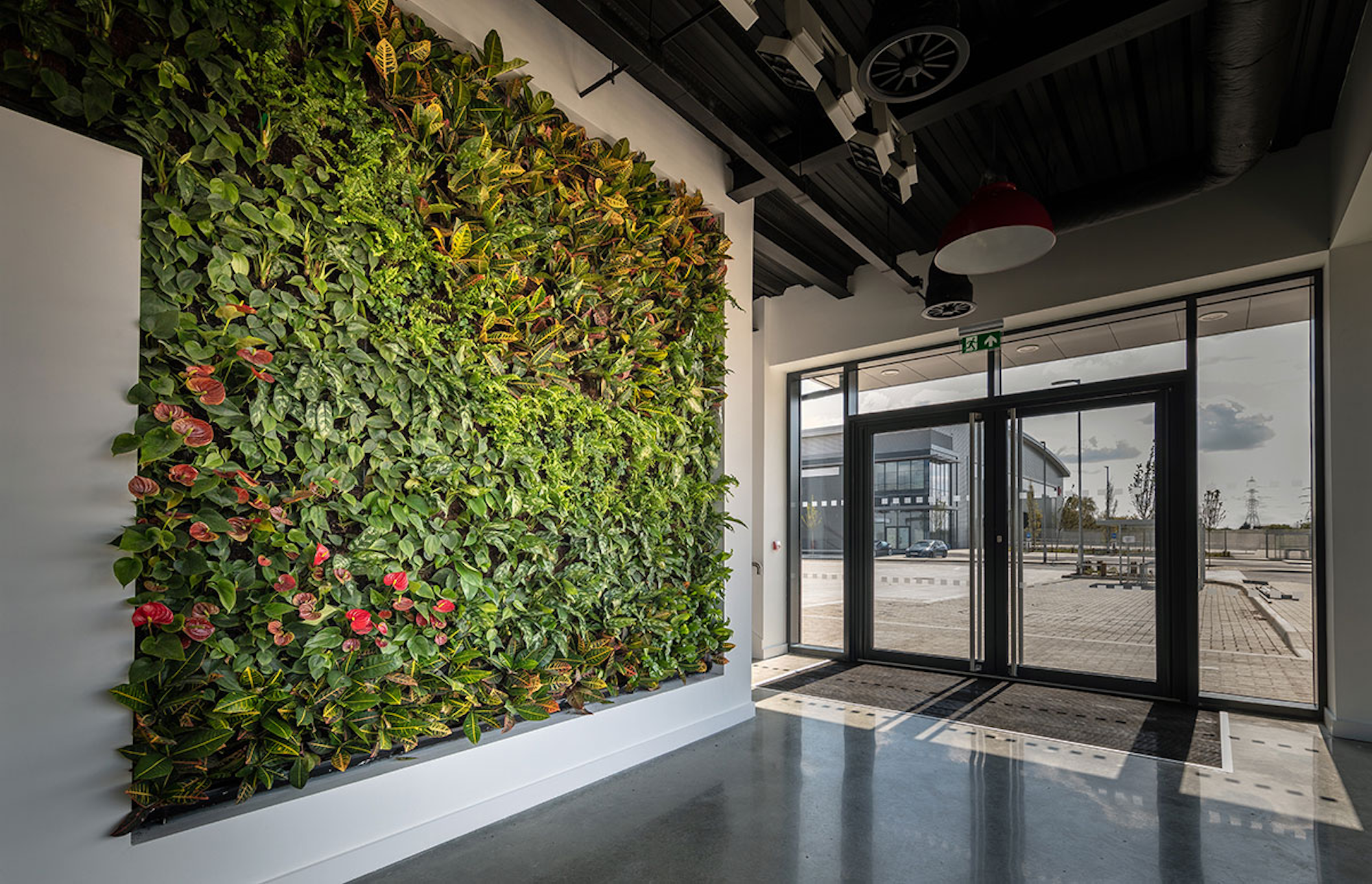 living wall on white wall as an entrance