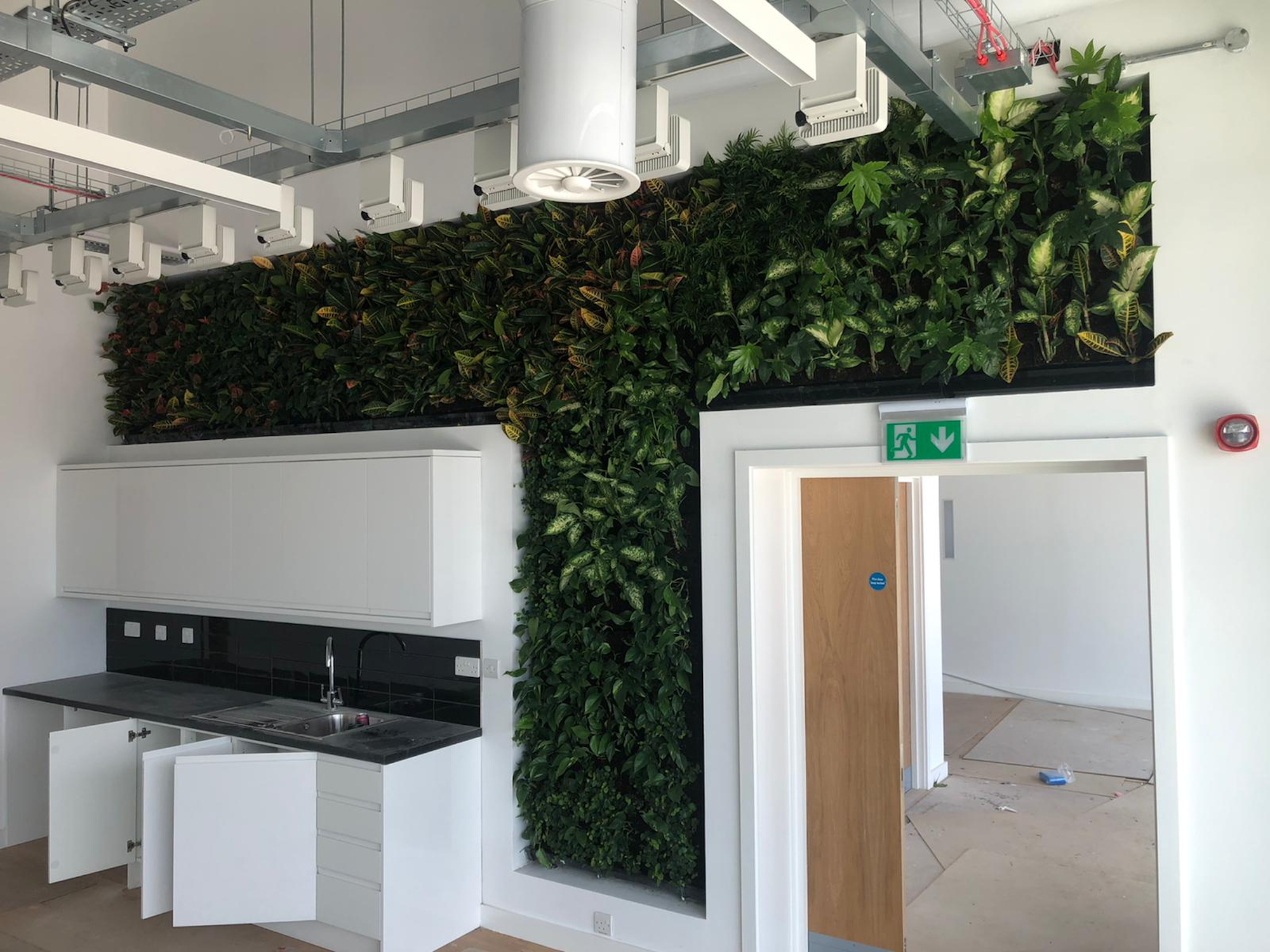 living wall as a backdrop to a kitchen area