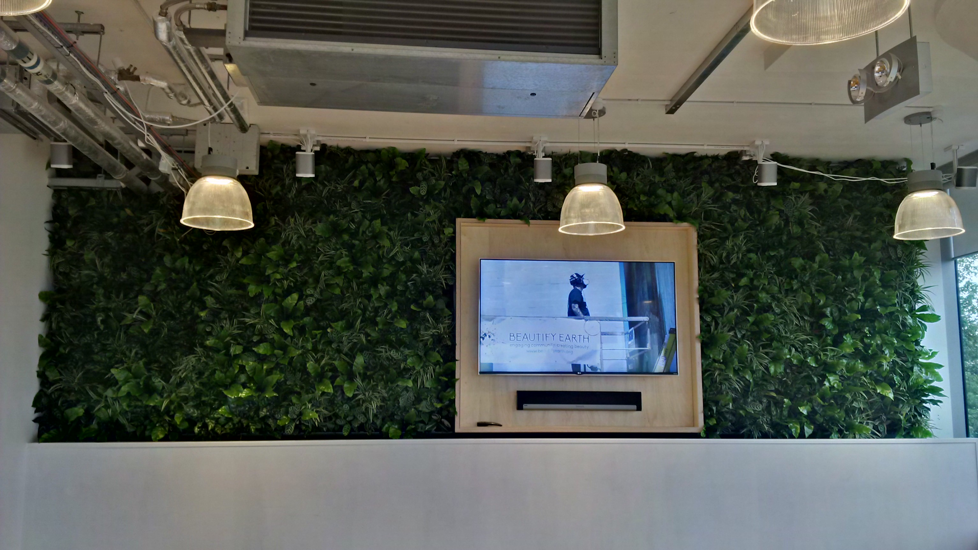 interior plants in a living wal surrounding a screen in a retail store