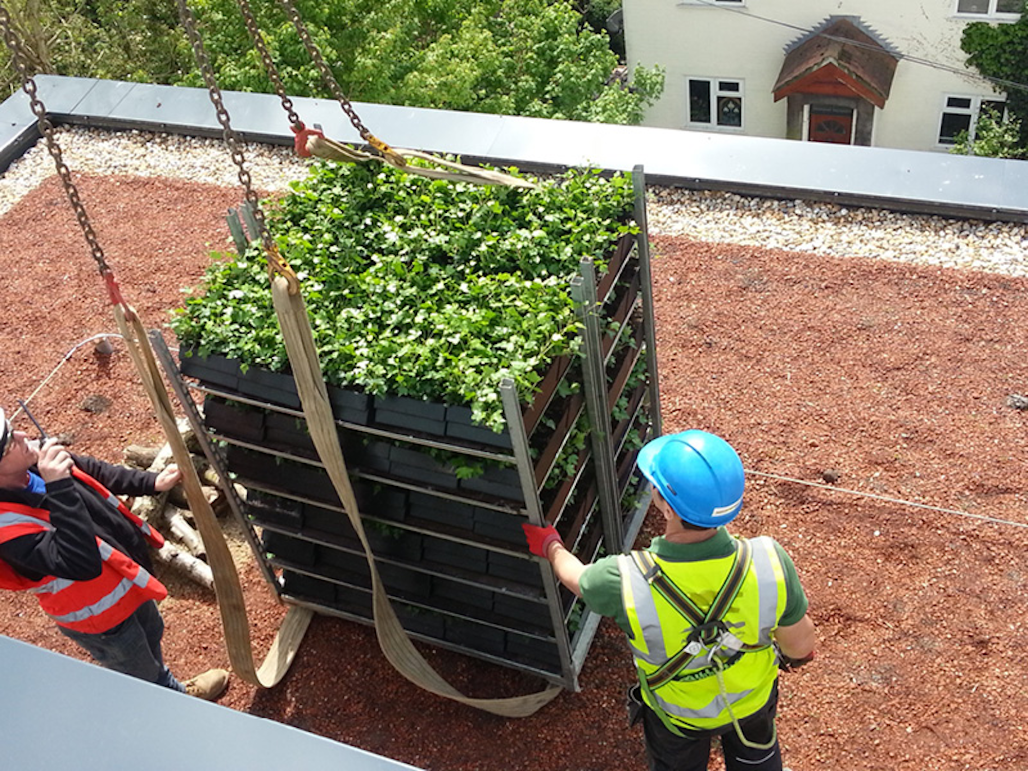 lowering a palette of living wall modules on top of a roof on a construction site