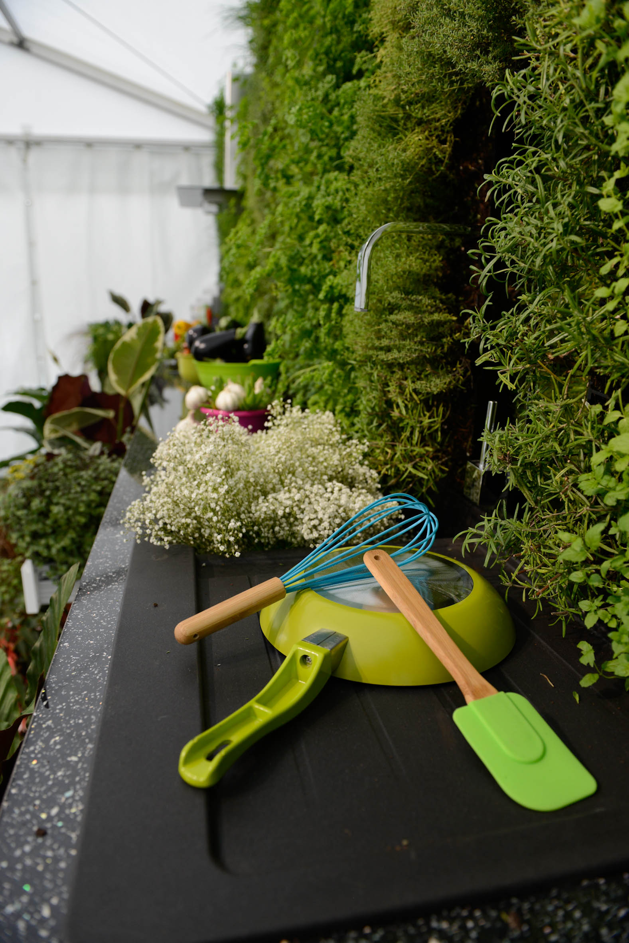 kitchen ware on a kitchen worktop with a living wall as a backdrop