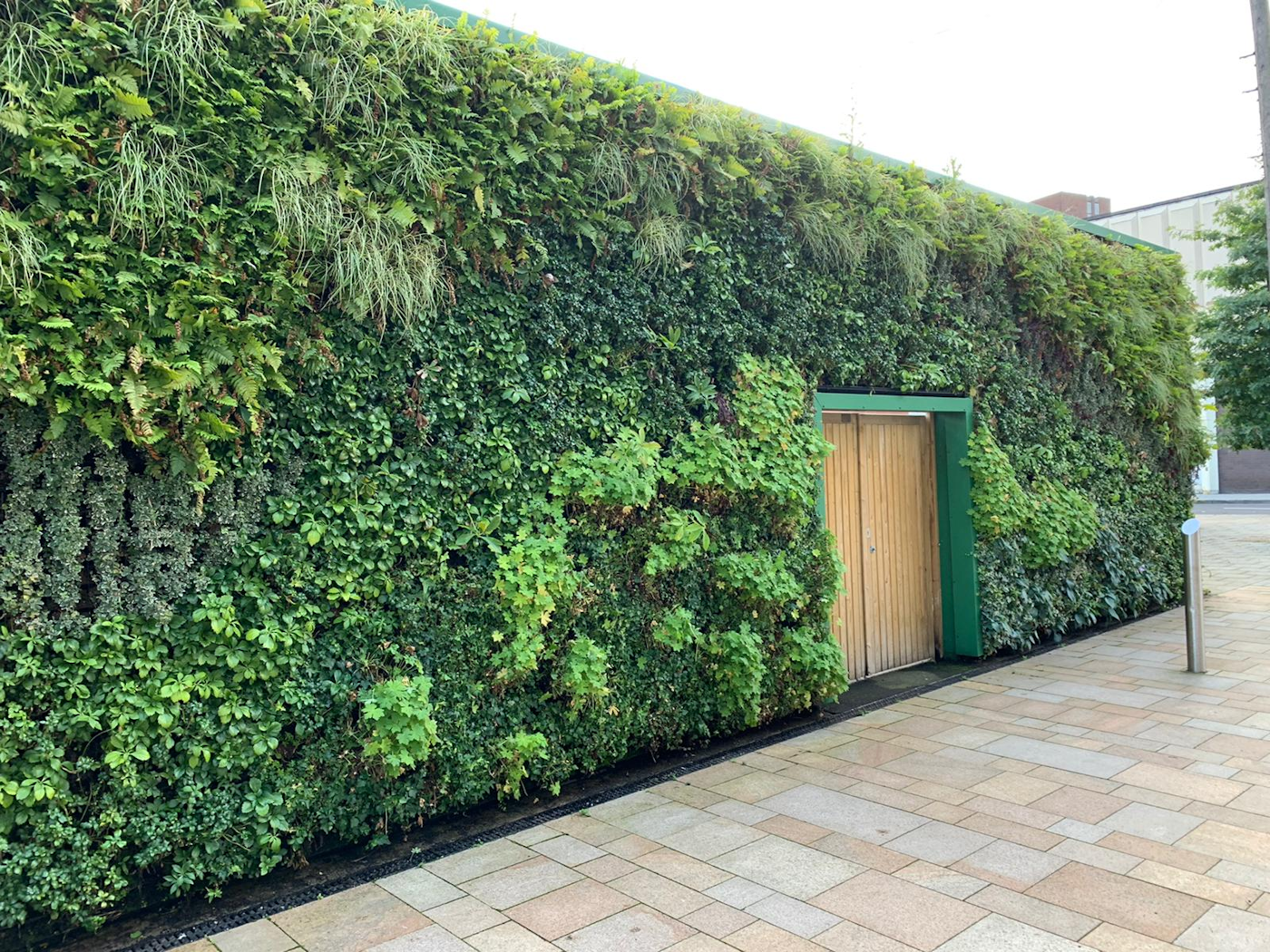 Living Wall in Stockport Town Centre